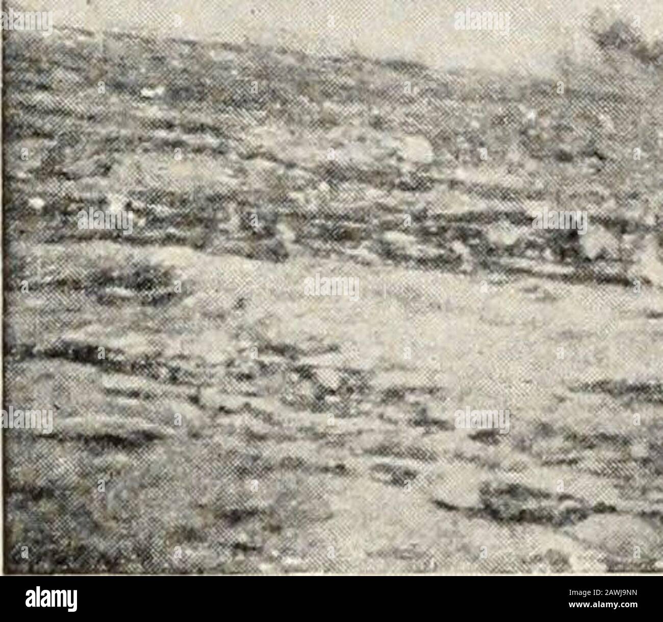 Die physische Geographie des Staates New York. ! I: Amer. Journ.Sri. Ser. Ill, XXIV, 1882, 93-97; Drittes jährliches KVport. US (ieol. Umfrage, 1883,291-402. SLEverett, Amer. .i&lt;.nrn. Sri Ser. III L. IMC.. 1-20. H 114 Die Physische Geographie des Meic York State Moraines die Bedingungen an der Eisfront müssen eng mit denen für den südlichsten Rand beschrieben sein.Zwischen diesen aufeinanderfolgenden Moränen muss die glaziale Rezession relamisch schnell gewesen sein, Die Vorderseite blieb lange Zeit an keinem Ort stehen, um "PK" - 3&mmi erlauben die clrag- SSA&.iR^ R^Mj^Bjj^HH rt •LJl^S V-J- jv Stockfoto