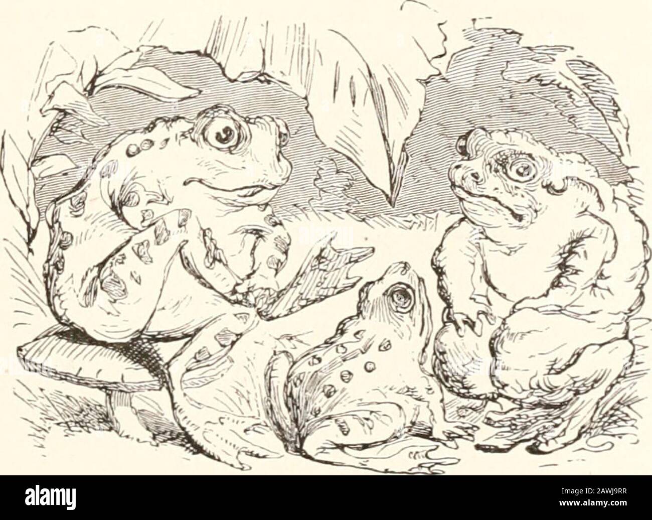 Die Bodleys erzählen Geschichten . Sie beschreiben meine eigenen Gefühle, mein Bruder, Und Sagten dann eins; aber ich habe noch AnotherThat wird mich manchmal mit Alarm füllen.Obwohl ich es vielleicht zu kämpfen habe, immer ruhig zu wirken. Geben Sie mir jetzt einfach. Meine Freunde, Ihr Rat: In der Grube meines Magens liegt Eis. Was die helle Sommersonne nicht schmelzen kann; Warum, manchmal, Bruder Kröte, habe ich mich gefühlt- 126 Zinn: I:NDL7:ys ti:ijj.(; s/onncs. R.-li;iw! Psliiw! Saiil:i rmk littli- tliiii;,Ot my rliills and my niiakis i coum siii;All till- (Lay; luil Ich werde den ivasonThat wo all aiv f^o colil out Ot Saison kennen. T ist iHcause einer had Circulatio Stockfoto