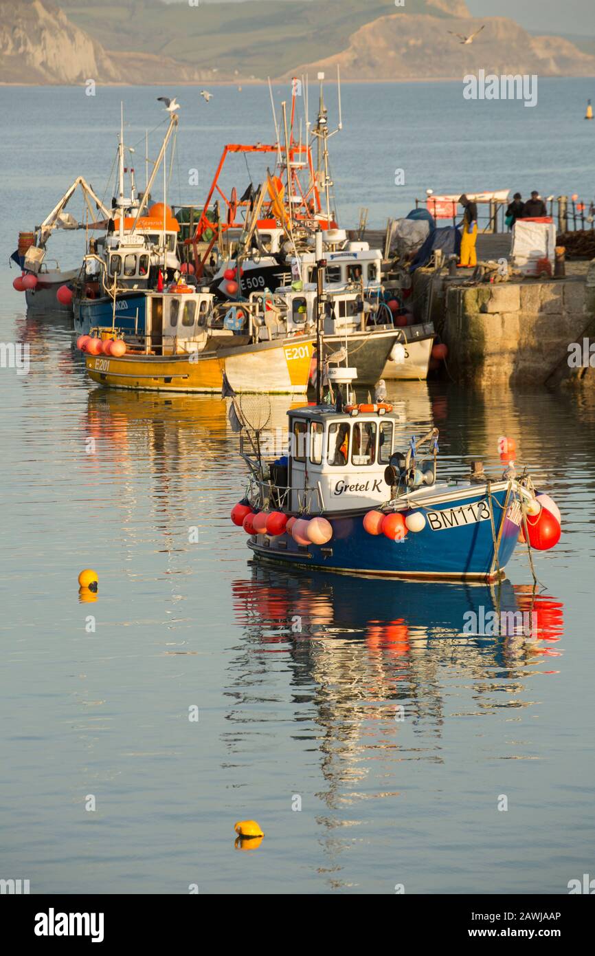 Fischerboote im Hafen von Lyme Regis Cobb Anfang Februar. Lyme Regis liegt an der Juraküste und ist bei Besuchern beliebt, die nach Visi kommen Stockfoto