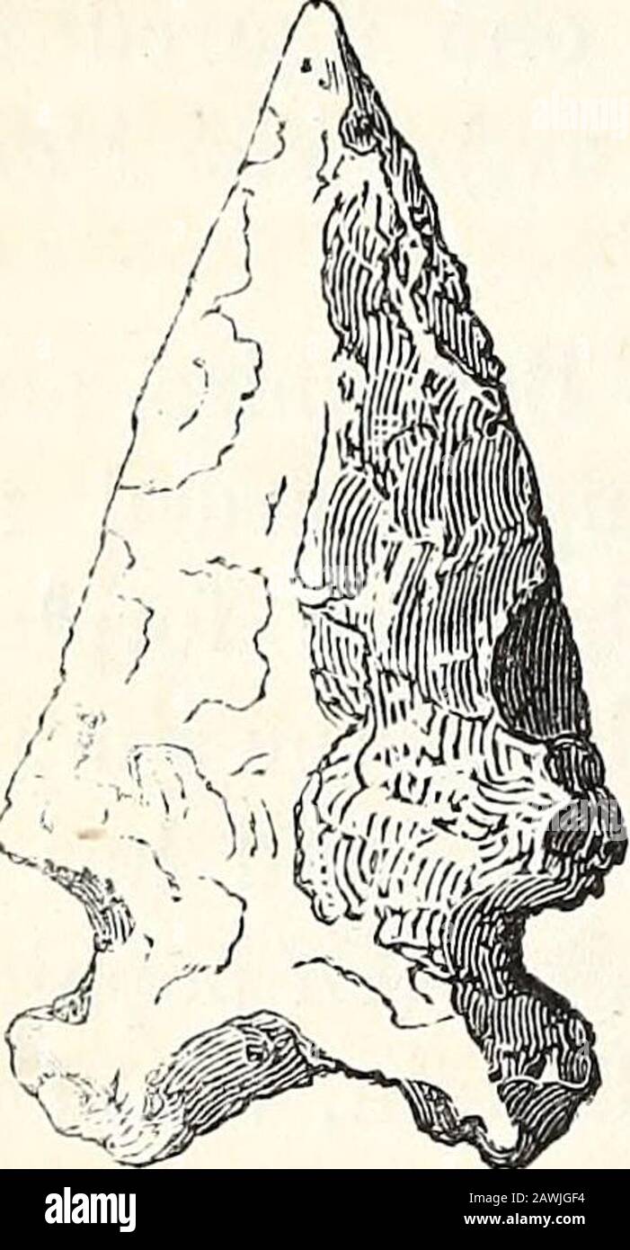 Sussex archäologische Sammlungen in Bezug auf die Geschichte und Antiquitäten der Grafschaft . Antiquitäten aus verschiedenen Zeiträumen, vor allem aus dem umfangreichen Furtreson Hamden Hill, in der Nähe von Ilchester, Somerset (Gebiet, 210 Acre), der einen Pfeilkopf aus weißem Quarz enthält, der dort ca. um die Jahre um die Jahre um die Jahre um die Jahre um die Jahre 1020 gefunden wurde (Abwasserknopf) - die Form ist in England ungewöhnlich;Spitze Implementierung von Knochen, die als Pfeilspitze verwendet werden soll (vergleiche Worsaa(Kopenhagener Museum, Feigen). 55, 58); zwei boTPshaped Fibulae aus Bronze, römischen Charakters; diminutive Lampe aus römischem Bronze; ein bronzener Speakopf; drei eiserne Pfeil- oder Javelinköpfe; Irogeräte, gefunden Stockfoto