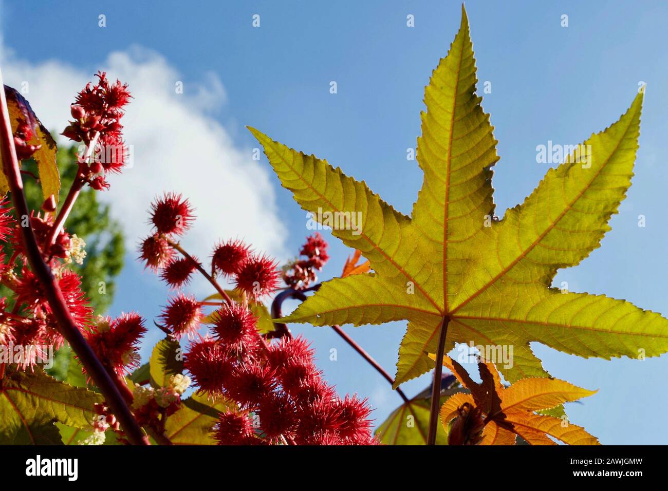 Montreux, Kanton Waadt, Schweiz. Stockfoto