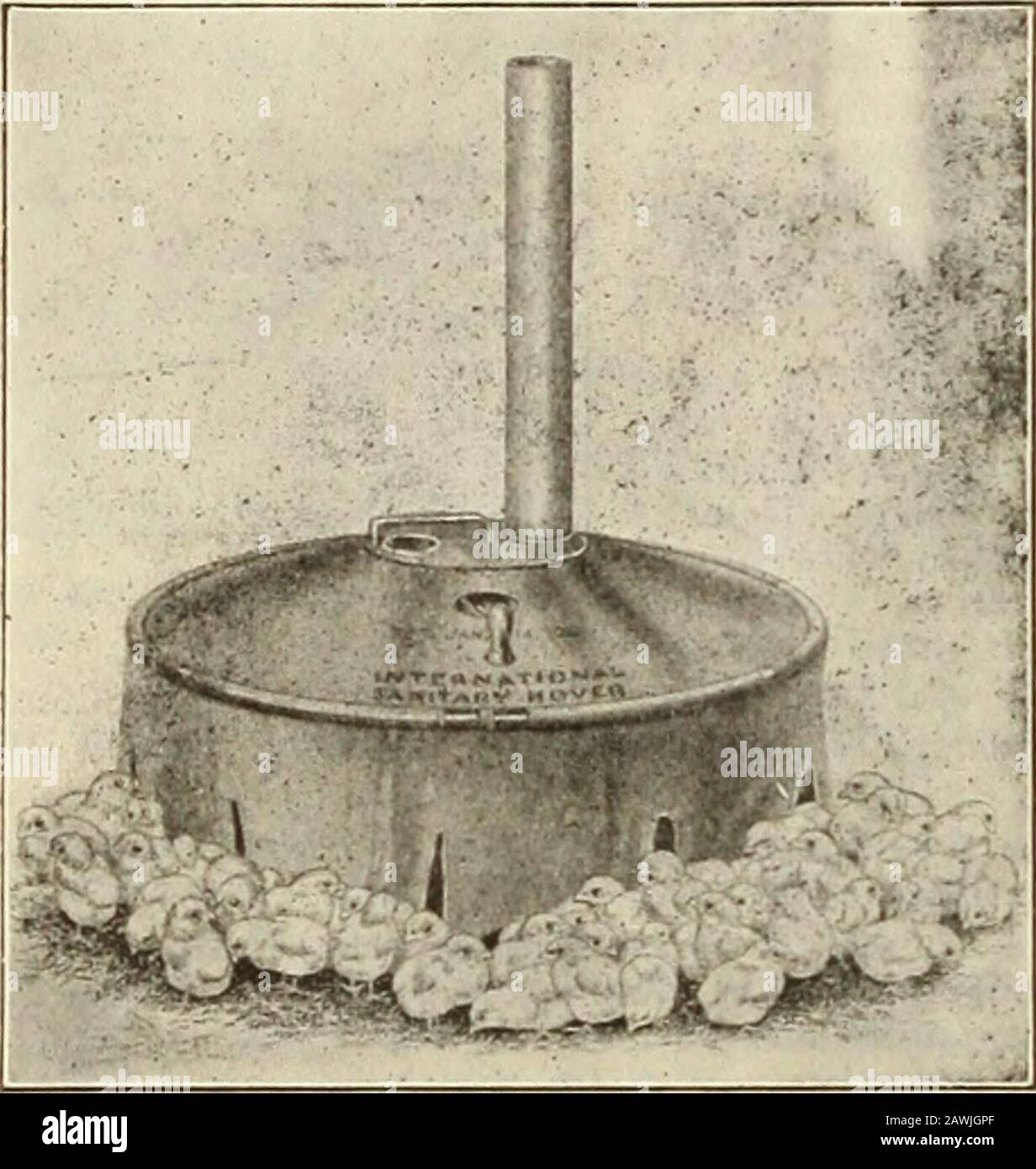 Jährlicher Katalog : Maschinen, Dünger, Saatgut usw. von der Verwendung getrennt und kann überall verwendet werden. Gewicht, für den Versand verpackt, nur 40 Pfund. Der vollständige Katalog für das Jahr 1915 enthält die vollständig illustrierte Aufhebung dieser selbstregulierenden, feuerfesten Hover, auch für die gesamte Linie der Cyphers-Mehrfamilienboulver. Preise KÖNNEN OHNE VORANKÜNDIGUNG geändert werden 30 C. M. WOOLF & CO., Inc., 1005 B Street, N. W., Washington, D. C. Geflügelgeräte - Fortgesetzte Größen und Preise von Cyphern Anpassbare Hover- und Combi-Nation-Brooder: Anpassungsfähiger Hover, Cap. 75 Küken € 8,50 Stil A, 2-Apartment Outdoor Br Stockfoto