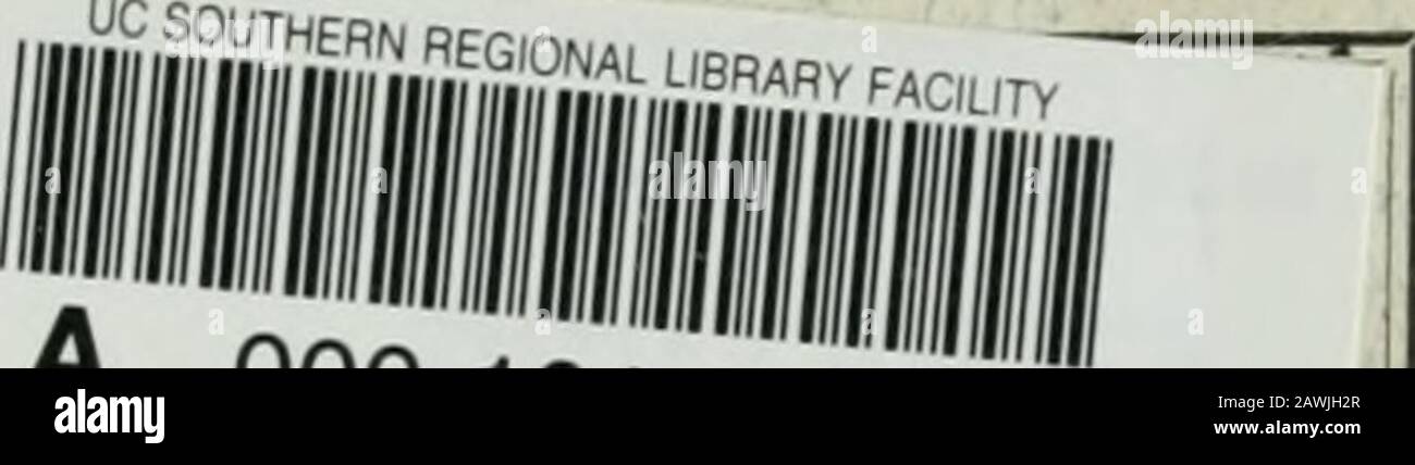 Adam's illustrierter Führer zu Rye (mit Karte): Winchelsea, Northiam, Camben-on-Sea und alle Orte, die an der Nachbarschaft interessiert sind. G die Erfüllung eines Stücks Sussex Wit. Der Kopf ist herausnehmbar, und die Schnauze ist flach, er kann als Becher, From, den die Brautpaar und die Gäste können, ohne viel Nachsicht, einen Hogshead Bier trinken. Es kann auch für Zigarren, &c, der Kopf, der eine praktische Aschenablage macht, geadelt werden x^- Es sollte darauf hingewiesen werden, dass jedes Stück dieses Potteryis Rye unter der Glasur markiert. Alleinhersteller: FREDERICK IVSITCHELL, AUSSTELLUNGSRAUM und WERKE, FÄHRSTRASSE, ROGGEN Stockfoto