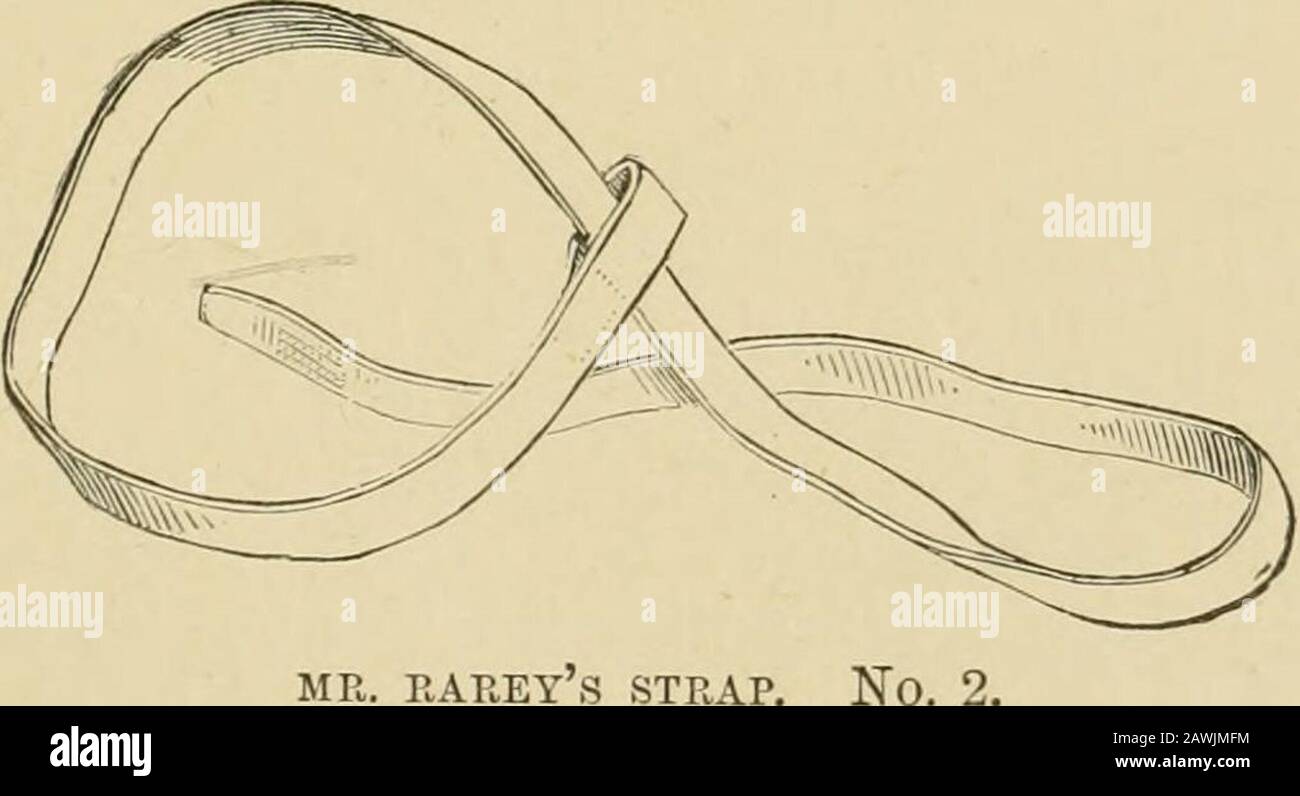 Das Pferd im Stall und auf dem Feld: Seine Sorten, das Management in Gesundheit und Krankheit, Anatomie, Physiologie usw. OEUISER MIT BEINSCHLAUFE UND SURCINGLE AUF. Jiii^ravt und fängt dann die Fesseln in der Laufhose von Beinstap JSio. 2, die in der beigefügten Form hergestellt wird. Im Lieferumfang enthalten. Herr RAREY S GURT, zweiter Gurt in der Tasche, und nachdem er bereits den Beingurt Nr. 1 und den Surcingle wie oben gezeigt angebracht hat, wird der unter Manipulation stehende Gegenstand eitherinduziert, seinen Fuß in die Schlinge zu fallen, Oder es wird um seinen Knöchel gerutscht, svhile der Off rein wird von der anderen Hand t gehalten Stockfoto