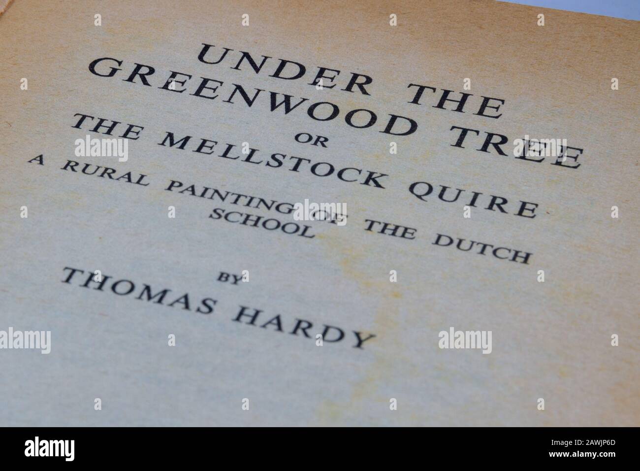 Titelseite für die Papermac-Ausgabe von Under the Greenwood Tree von Thomas Hardy Stockfoto