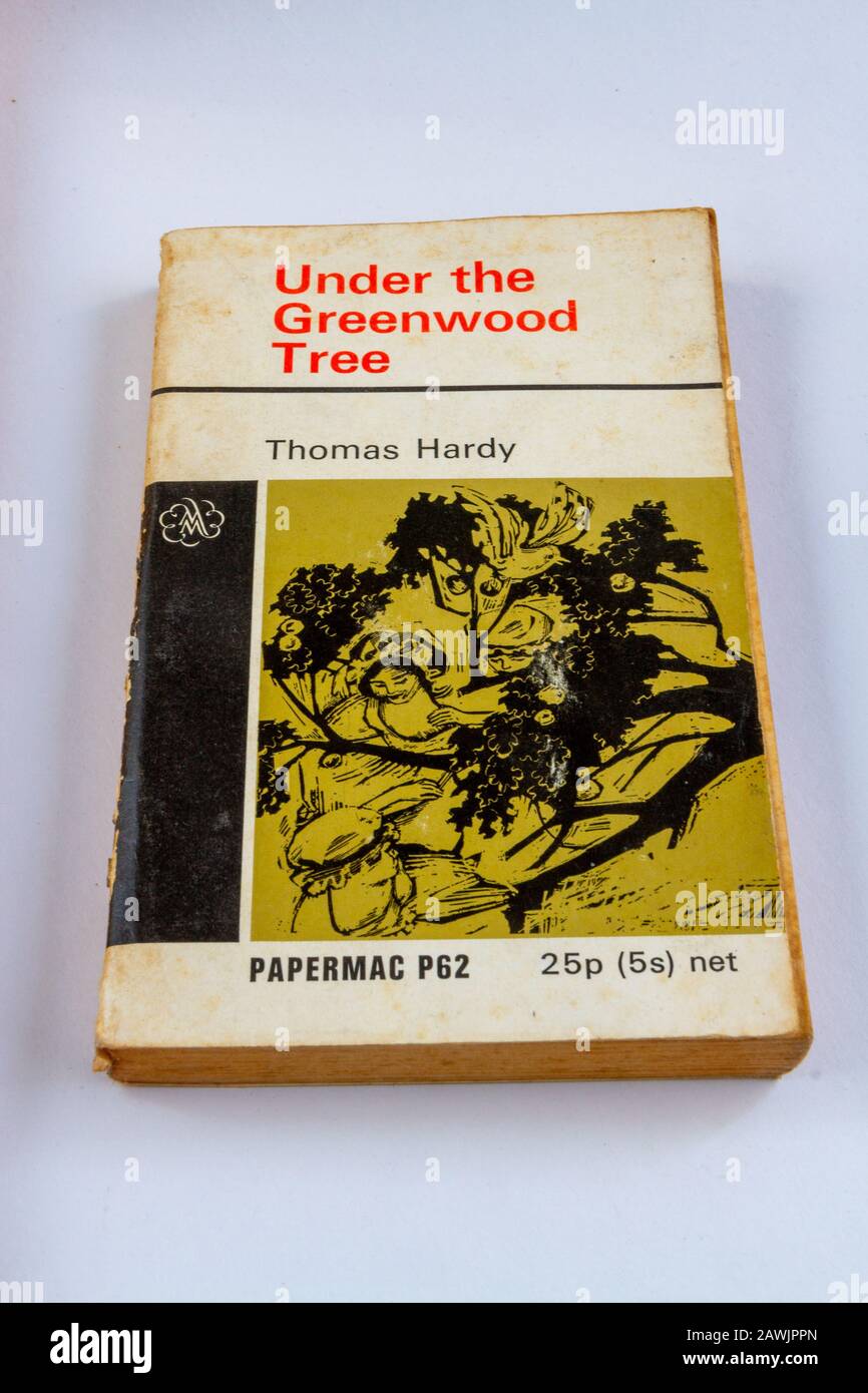 Papermac Ausgabe von Under the Greenwood Tree von Thomas Hardy Stockfoto
