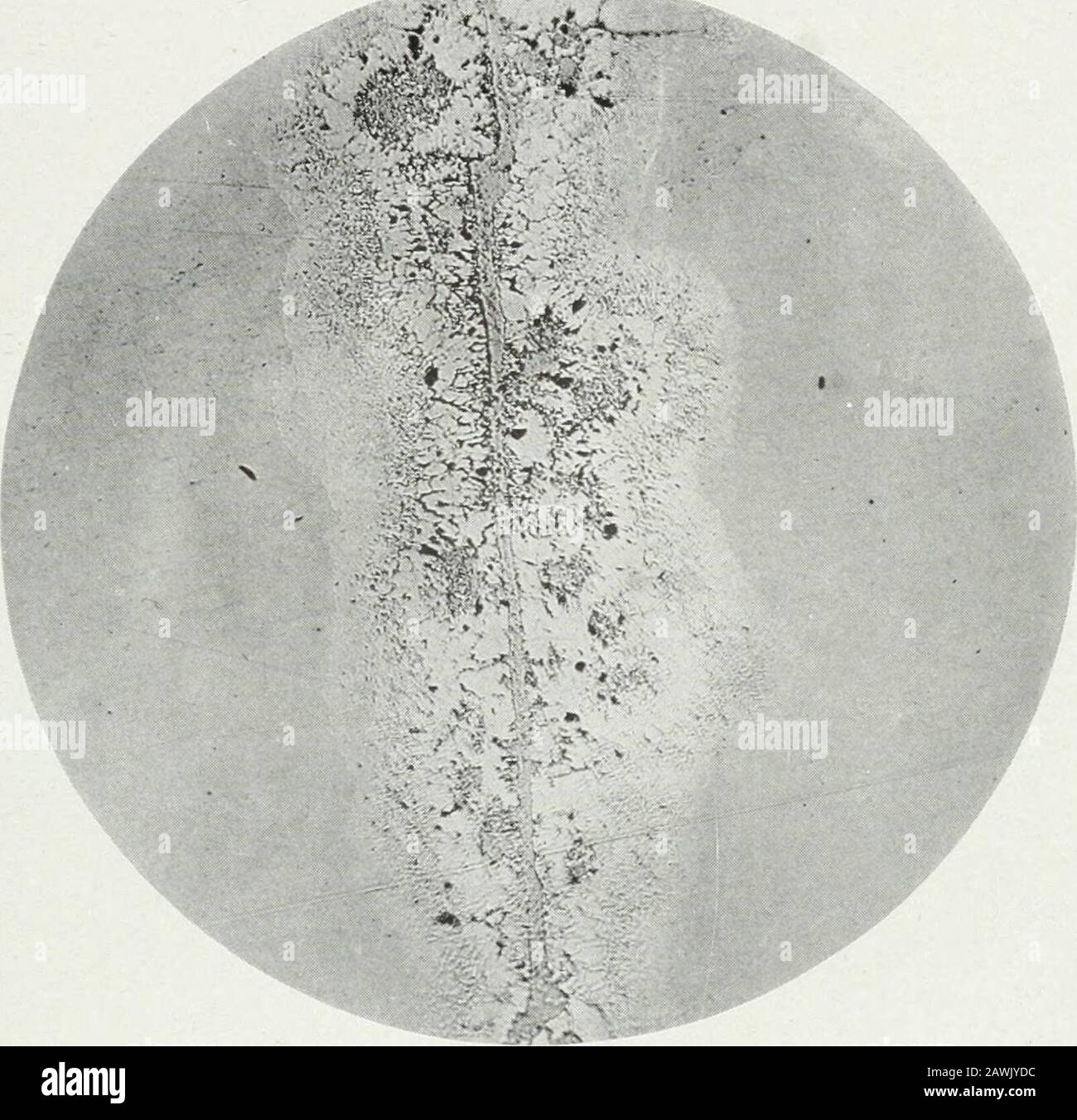 Bulletin Rbide Fe C Perlit Entsteht Durch Die Dekontemporane Verfestigung Von Ferrit Und Zementit Als Legierung Cools So Ahneln Die Lamellaren Graphischen Intergrowths Noch Starker Den Eutektischen Oder Eutektoiden Strukturen Von Legierungen