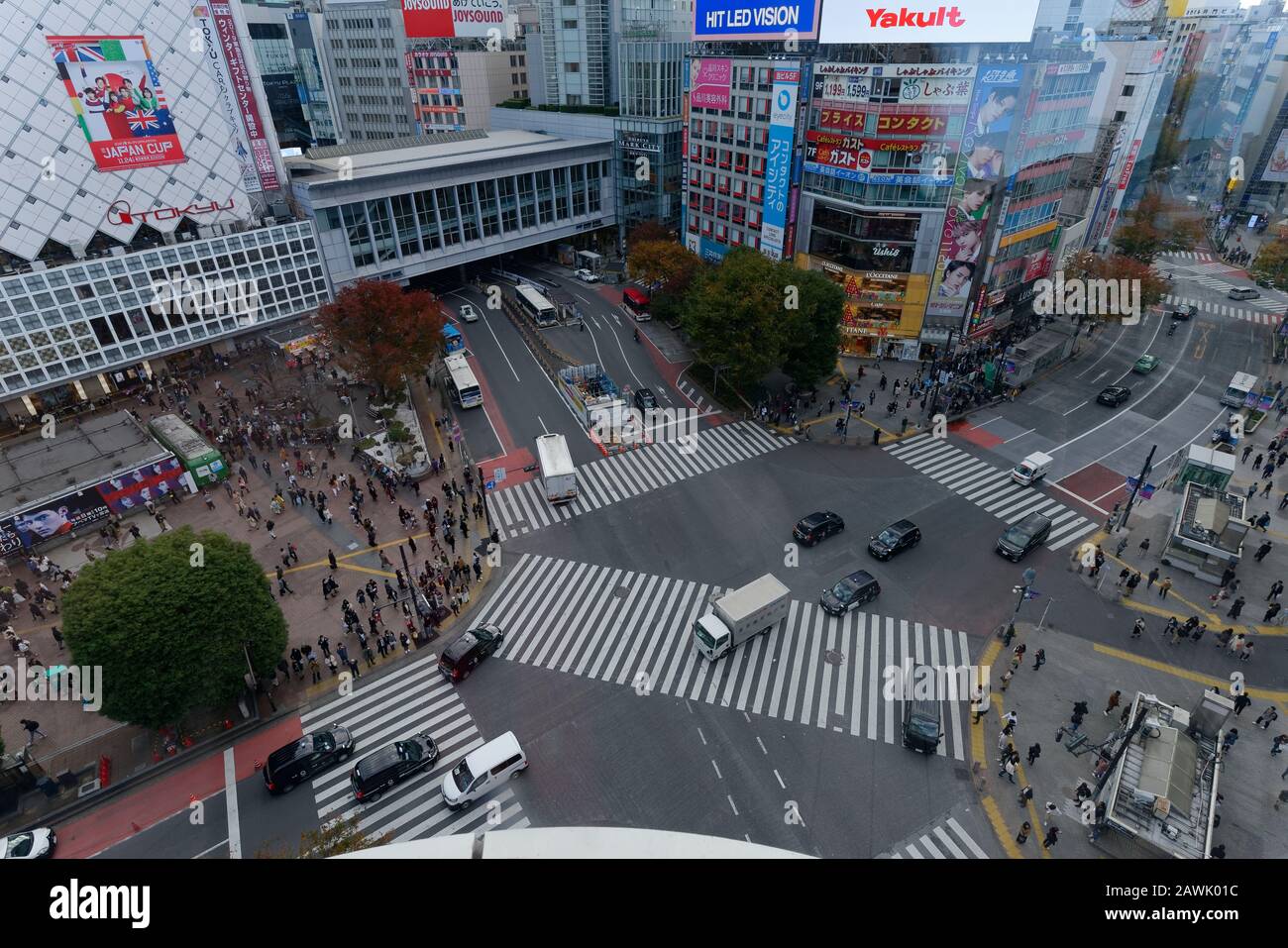 Tokio, Japan: 20. November 2019: Shibuya Crossing in Tokio, Japan. Stockfoto