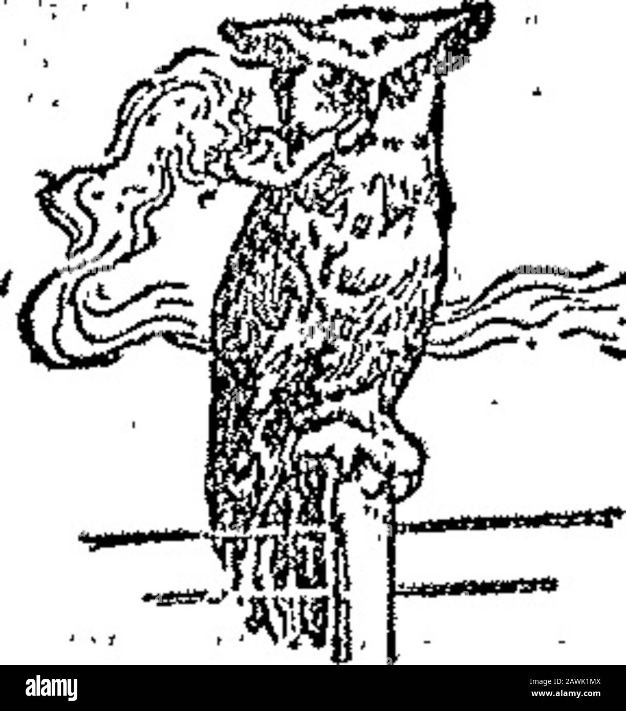 Boletín Oficial de la República Argentina-01 ra sección. ACTA He 26,683 LIS el calzado, clase 32.. TlU¥J £eiLi-TfteAmerican Shoe:Pq¡. Julio 5 de 1909.-Matlieu Hermanos.isn.ca.-betunes, cremas y pomadas para, Artículos de las clases 42, 59, 72 y 76. ACTA Eía 26,684 ¡ ^CÍOf^ o3/ JTE fe o s ^05 AlUt; Julio 5 de 1909.-Henry Stein.-Artículosde las clases 72 á 78. V-13 julio. Acta Itfa 26.689 Stockfoto