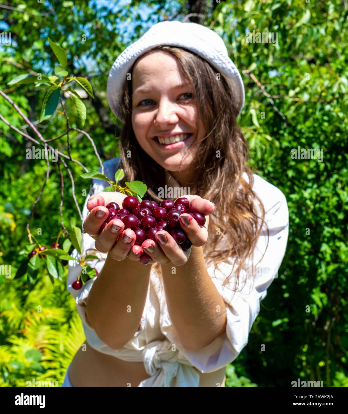 Hände halten frische Beeren in der Natur Tag Stockfoto