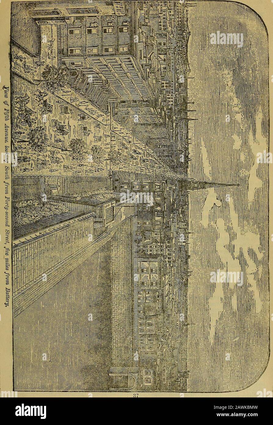 New Yorks große Industriezweige: Austausch und kommerzielle Überprüfung, die auch historische und deskriptive Skizzen der Stadt, ihrer führenden Händler und Hersteller umfasst ... . ALT NEWNO. Nr. 36 North Moore Street. 26 Buche Straße. 38 Hubertus Straße. 39 Vestry Street. 40 Watt Straße. 42 Kanalstraße. 34 Kanalstraße. 35 Spring Street. 36 Spring und Charton Streets. 37 Straße von Charton. 38 King Street. 39 West Houston Street. 40 Clarkson Straße. 4i Leroy Straße. 42 Morton Street. 43 Barrow Street. 44 Christopher Street. 45 West 10th Street. 46, 47 Karlstraße. 54 Perry Street. 55 West NTH Straße. 5 Stockfoto