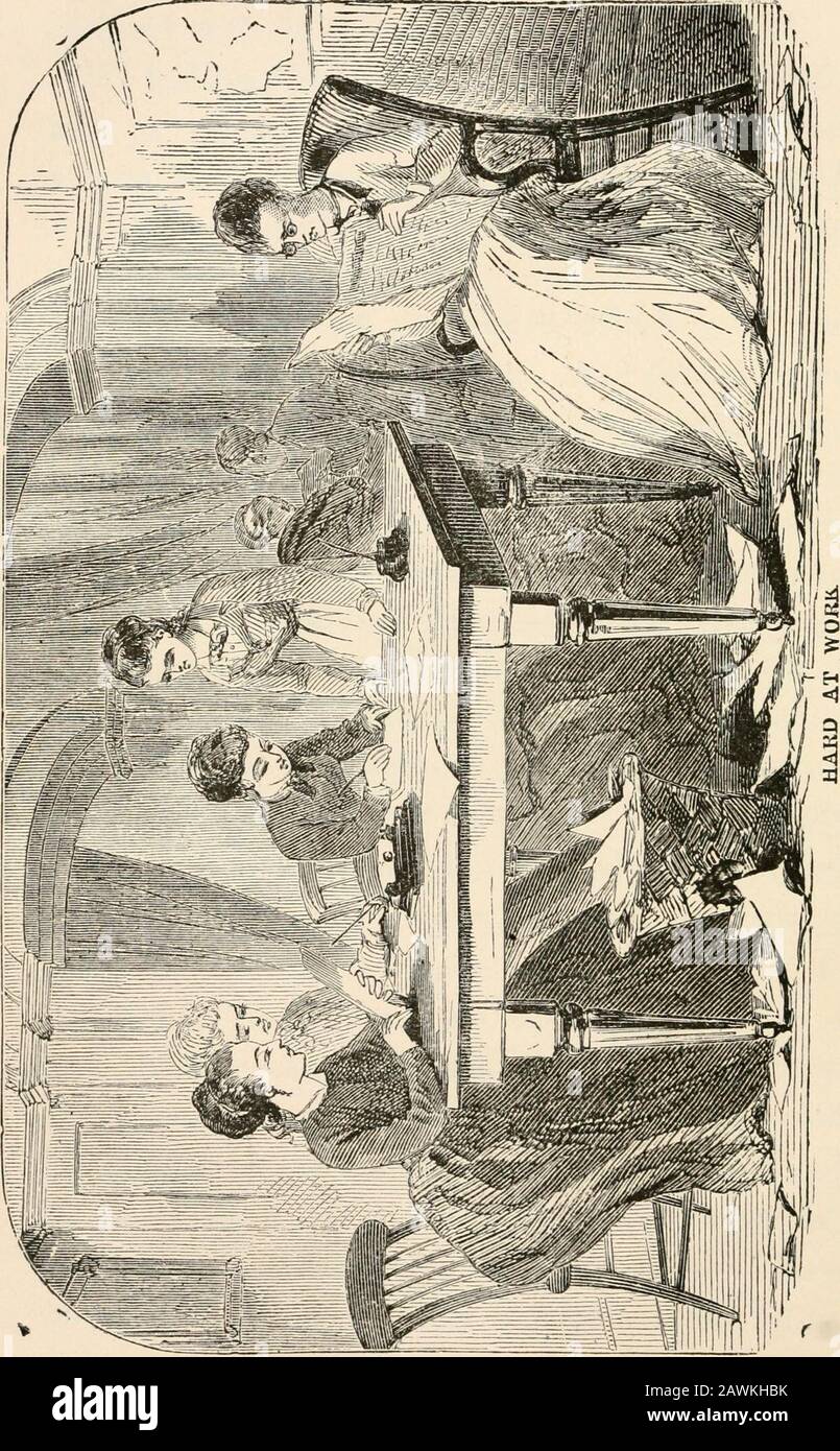 Meine Ansichten und Betsy Bobbet's Wurden als Leuchtfeuer entworfen, um Frauen zum Leben, zur Freiheit und zum Streben nach Glück zu führen, was aber von Mitgliedern der Sternenschule gelesen werden kann, ohne sich selbst oder das Buch zu verletzen. Ihr Zimmer, in dem sot mehrere andere wimmerinnen- Einige bis zu einem Tisch, und alle schrecklichen Readinpapiere und Writin Letters. Sie sahen so geschäftsähnlich und ernsthaft aus, dass ich wusste, dass sie keine Zeit haben konnten, um ihre Nachbarn zu bescheren, und ich war froh, es zu sehen. Als ich meinen Sitz nahm, sehe ich einen schrecklichen gutaussehenden Herrn, der sich auf einem Sofa ansiedelt - mit langen Haaren hinter seinen Ohren zurückgesteckt -•dass ich hadnt k Stockfoto