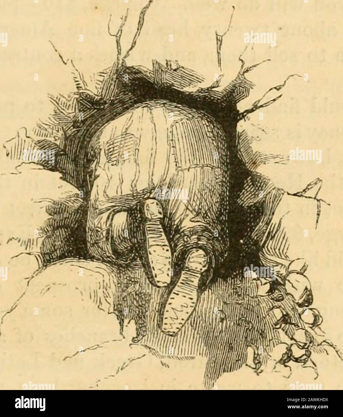Crusoes Insel . Il. Ein frei geborener amerikanischer Bürger, d. H., es sei denn, Sie werden in Irland geboren, was so viel besser ist, oder in Deutschland, was immer noch besser ist. Sie leben vom Schweiß Ihrer Brühe. Du bist Gottes edelstes Werk - ein Honestmann. Die freie Ausübung des Wahlrechts ist Ihnen durch die glorreiche Verfassung unseres gom-mon-Landes anbetet. Nach deiner Wahl kann das Schicksal von Millionen amerikanischer Fremen, Nay, das Schicksal der Freiheit, die es selbst ist, und das letztendliche Schicksal der Menschheit abhängen. Ich bin kein ap- EIN PEEP IN WASHOE. 411 phal zu Ihnen bei der heutigen Gelegenheit für jeden persönlichen vor. Vielen Dank, Fortune Stockfoto