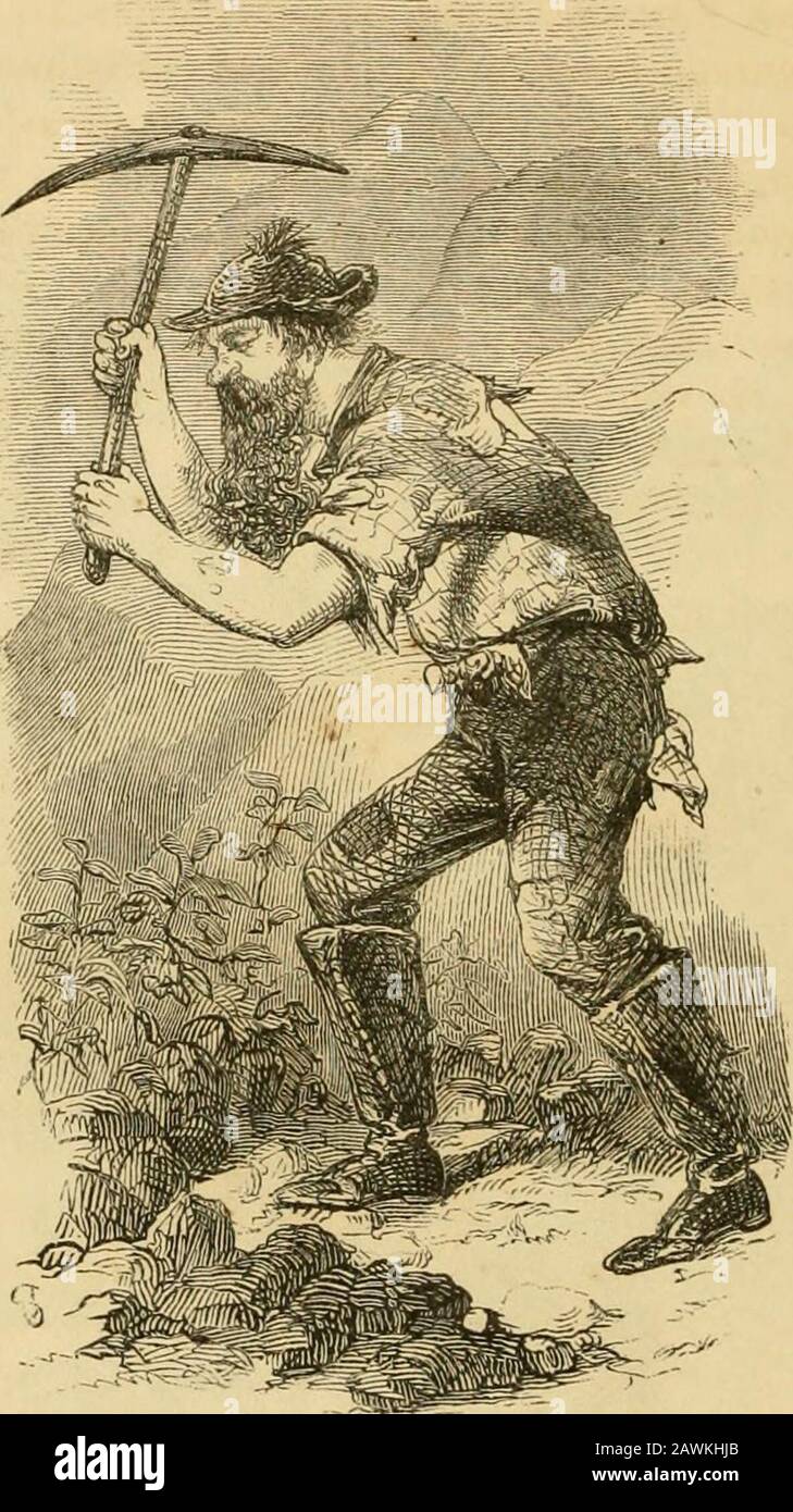 Crusoes Insel. DIE FLOWEEY-DIGGINGS. 410 A PEEP IN WASHOE. ME.. Ho.NKST MlNJiiL. Ein frei geborener amerikanischer Bürger, d. H., es sei denn, Sie werden in Irland geboren, was so viel besser ist, oder in Ger-many, was immer noch besser ist. Sie leben vom Schweiß Ihrer Brühe. Du bist Gottes edelstes Werk - ein Honestmann. Die freie Ausübung des Wahlrechts ist Ihnen durch die glorreiche Verfassung unseres gom-mon-Landes anbetet. Nach deiner Wahl kann das Schicksal von Millionen amerikanischer Fremen, Nay, das Schicksal der Freiheit, die es selbst ist, und das letztendliche Schicksal der Menschheit abhängen. Ich bin kein ap- EIN PEEP IN WASHOE. 411 peal zu dir auf Stockfoto