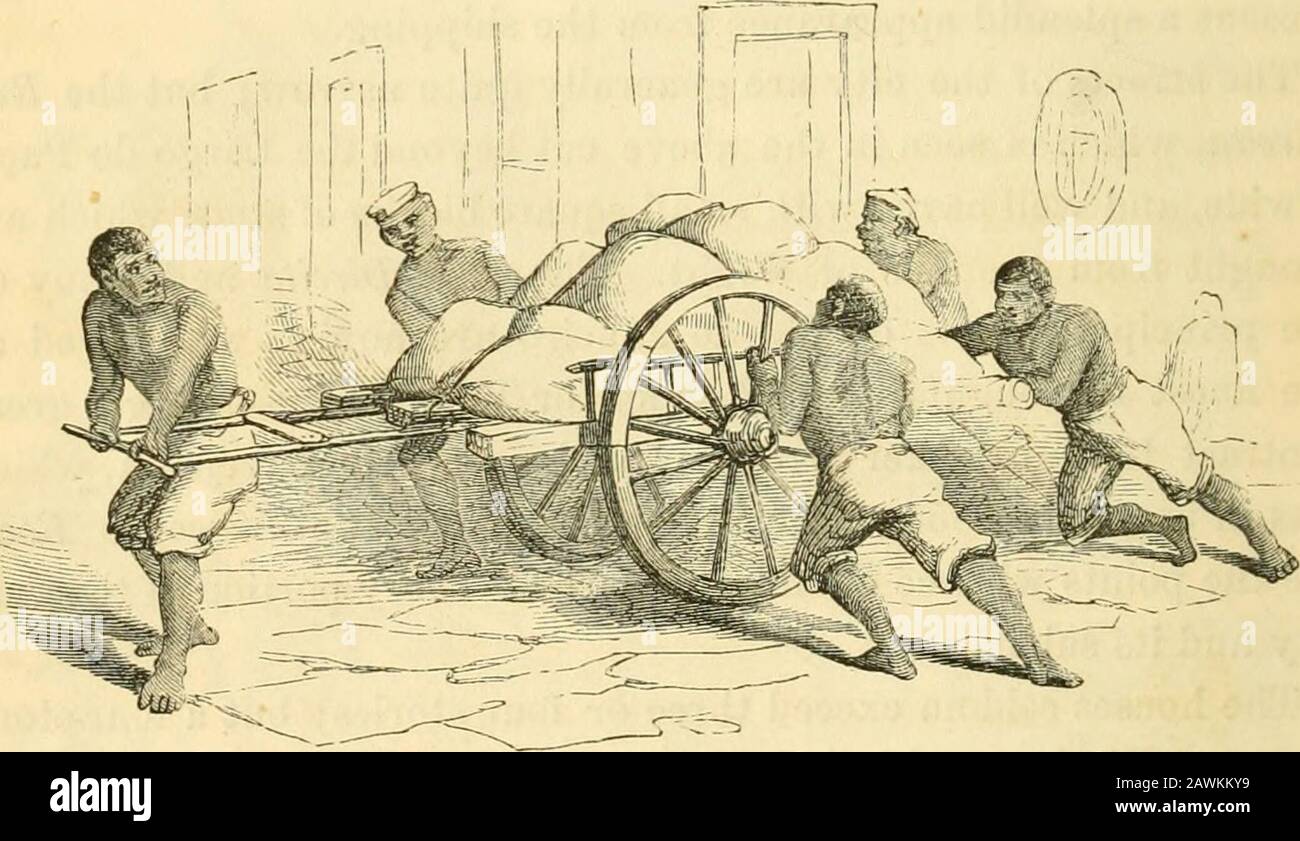Brasilien und die Brasilianer: In historischen und beschreibenden Skizzen dargestellt. Orsen und Maultiere, die alle die negociantes andcaxeiros (Buchhalter) zu ihren jeweiligen Wohnsitzen vermitteln. Die fernen Stahle auf unserer linken Seite sind die der Kirche von 28 Brasilien und der Brasilianer. Candelaria, das an einer schmalen Straße hinter der Eua Direita liegt. Es ist die größte Kirche der Stadt, und die Moderatoren und eine handliche Front als jede andere. Der Praca do Commercio, oder Exchange, nimmt in der Eua Direita eine wichtige Stellung ein. Dieses Gebäude, das früher Teil des Hauses der "every House" war, wurde von diesem Gebäude abgetreten Stockfoto