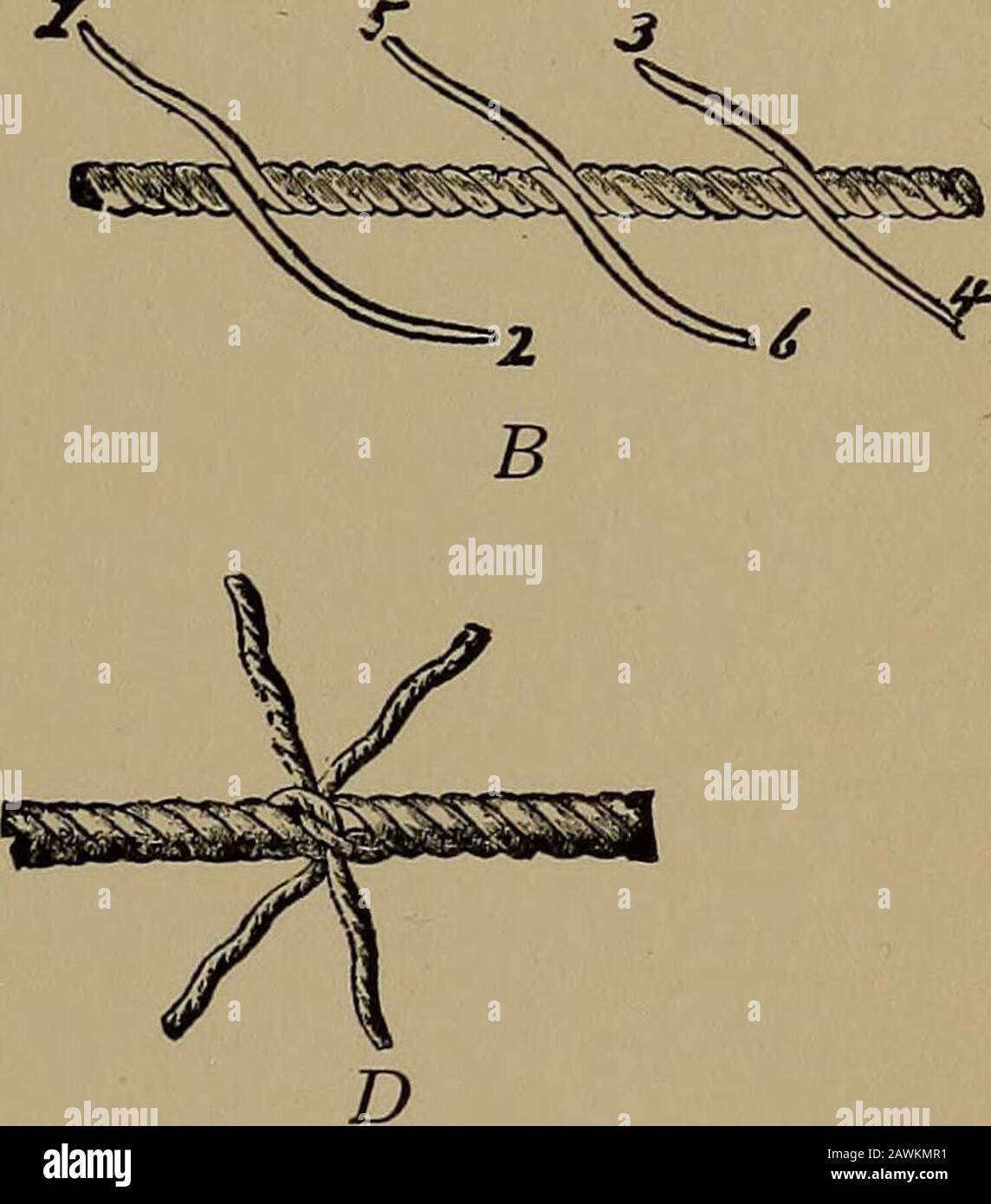 Harper's Bootstouren für Jungen; ein Führer für Motorboot, Segeln, Kanu fahren und Rudern. ABB. 3. Die LANGE VERZWEIGUNG A in Abb. 1; nun den Strang 4 als Shownin B durch das Seil schieben; den nächsten Schubstrang 5 über das Teil, durch das der Former geführt wurde, und den Strang 6 zuletzt auf der gegenüberliegenden Seite durchschieben. Wiederholen Sie diesen Vorgang einmal, und schneiden Sie die verbleibenden Enden ab. Die Verzweigung wird wie in Cangezeigt. Die Kurze Verzweigung (Abb. 2).-Das Seil B halten (Abb. 2 A) 205 BOOTSTOUREN FÜR B6¥§ in der linken Hand; den Strang 4 über 1 führen und unter 3 thrustig sein, ihn straff ziehen; Strang 5 nehmen und itover 2 und passieren Stockfoto