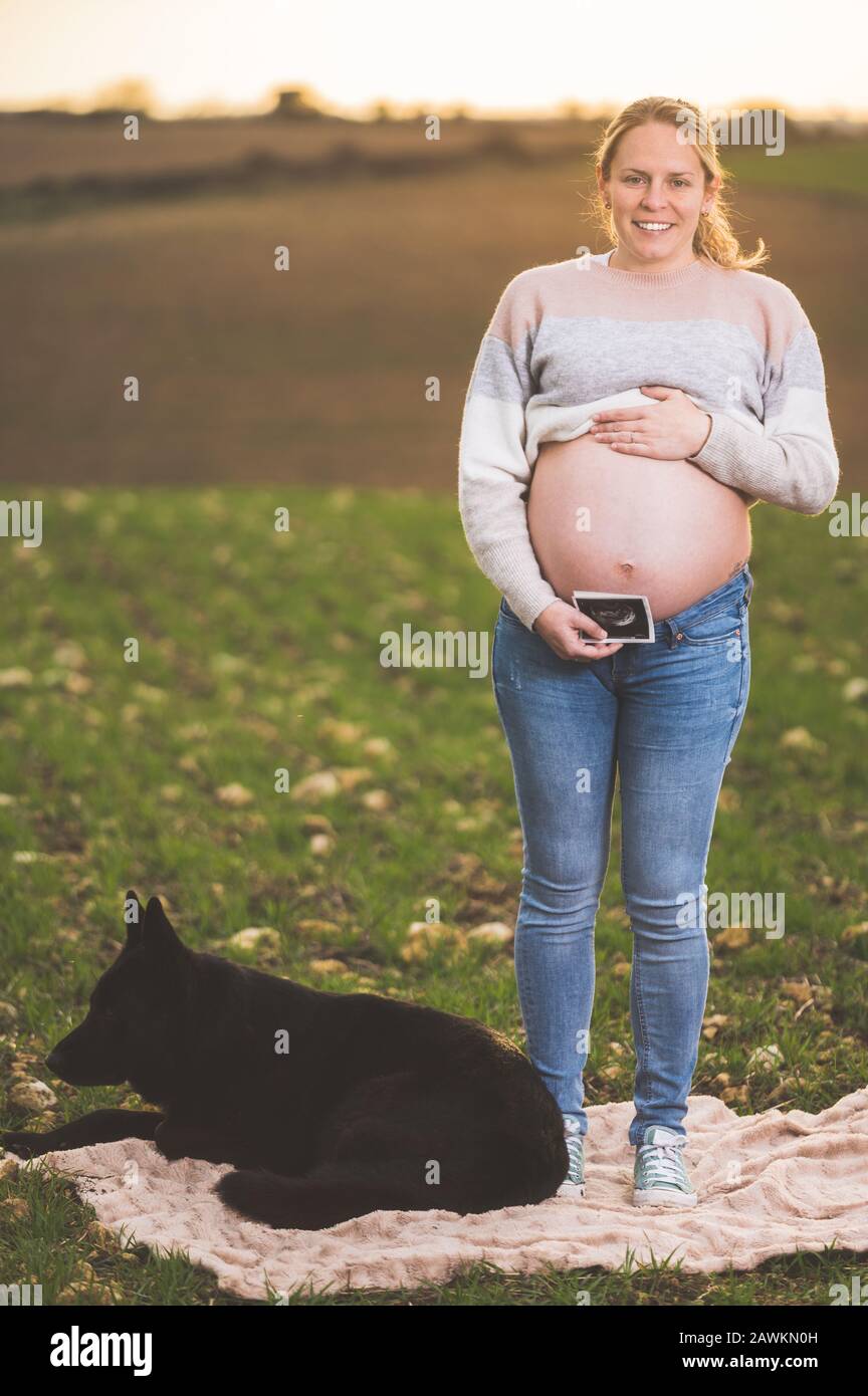 Schwangere Frau und ihr Hund spielen im Park. Stockfoto