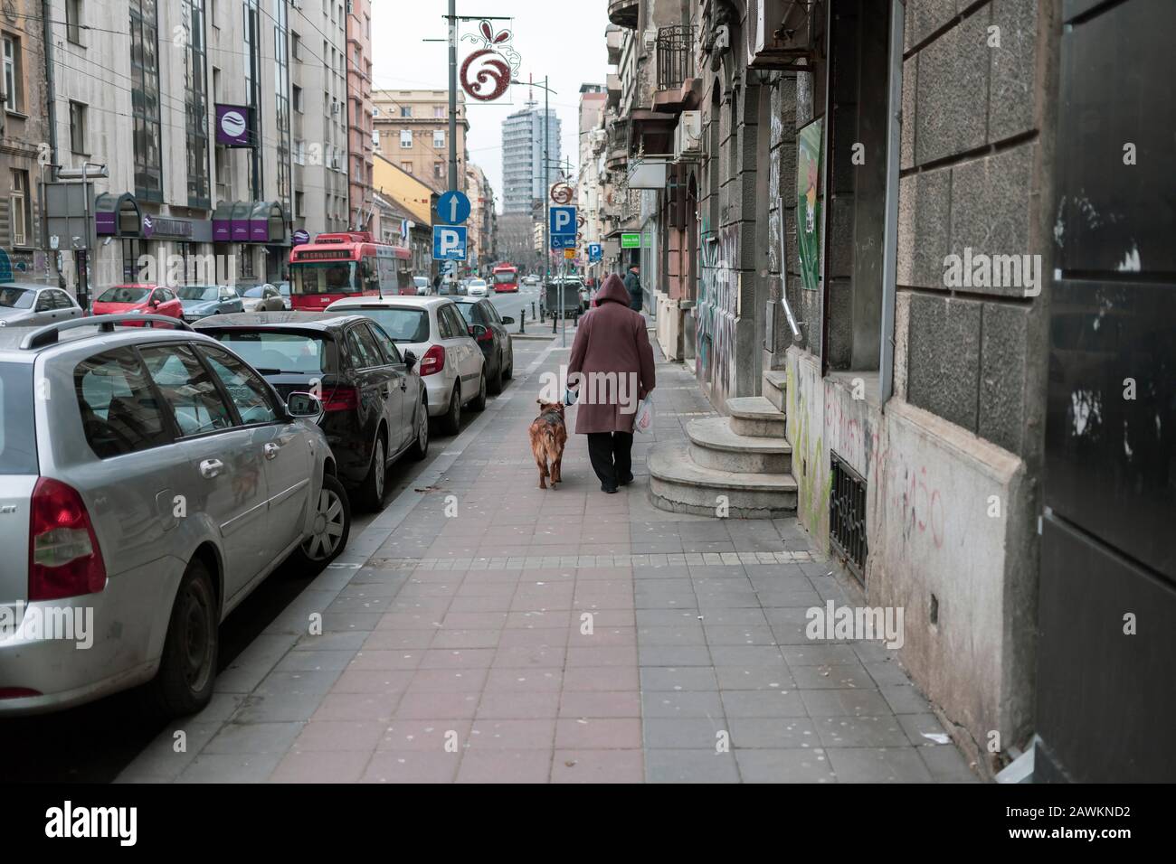 Serbien, 7. Februar 2020: Frau geht Hund die Svetogorska-Straße in Belgrad hinunter Stockfoto