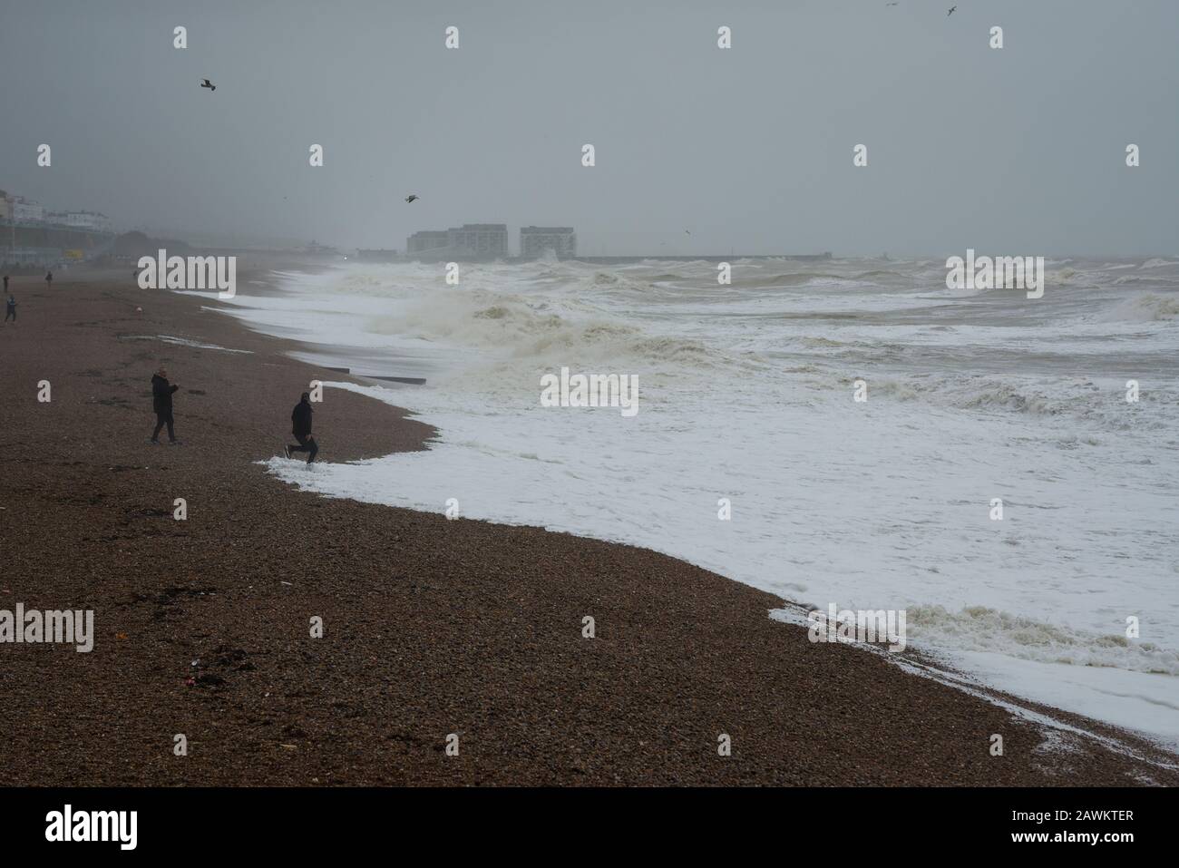 Brighton, East Sussex. Februar 2020. Wetter in Großbritannien. Storm Ciara schlägt die Südküste mit riesigen Sturzwellen in Brighton Marina, vor wagemutigen Zuschauern am Brighton Beach in der Nähe des Piers, und auf das in der Klasse II aufgeführte Albion Groyne, das aufgrund von Sturmschäden, die im Dezember 2019 erworben wurden, gesperrt bleibt. Das Met-Büro hat "Wut auf das Leben"-Wetterwarnungen in ganz Großbritannien wegen starker Winde herausgegeben. Stockfoto