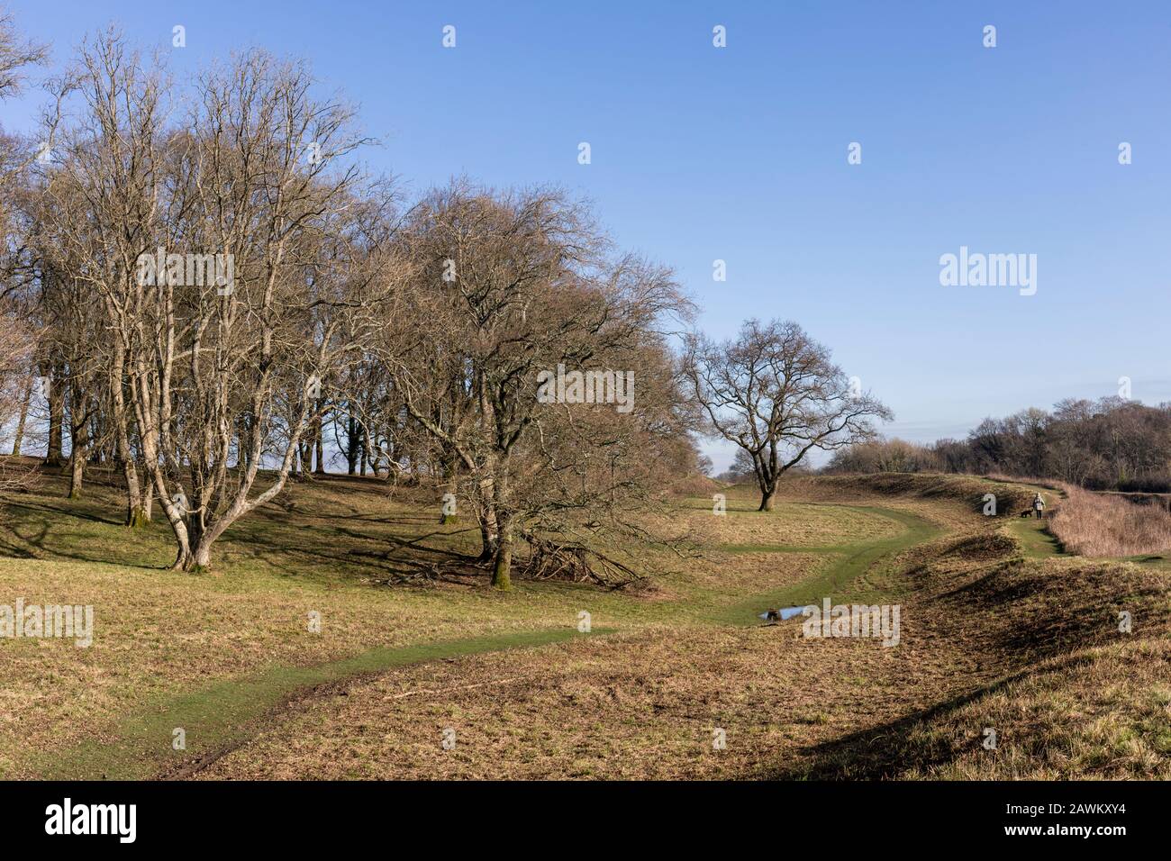 Badbury Rings - eine Hügelfestung aus der Eisenzeit auf dem Anwesen Kingston Lacey, Dorset, England, Großbritannien Stockfoto