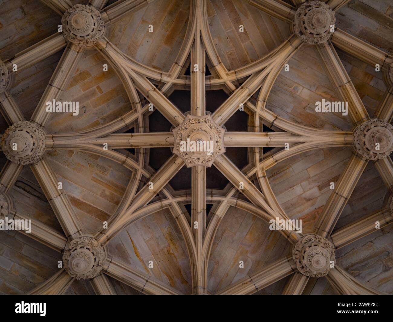 Die Decke der Kathedrale Saint-Cecile in Albi France Stockfoto