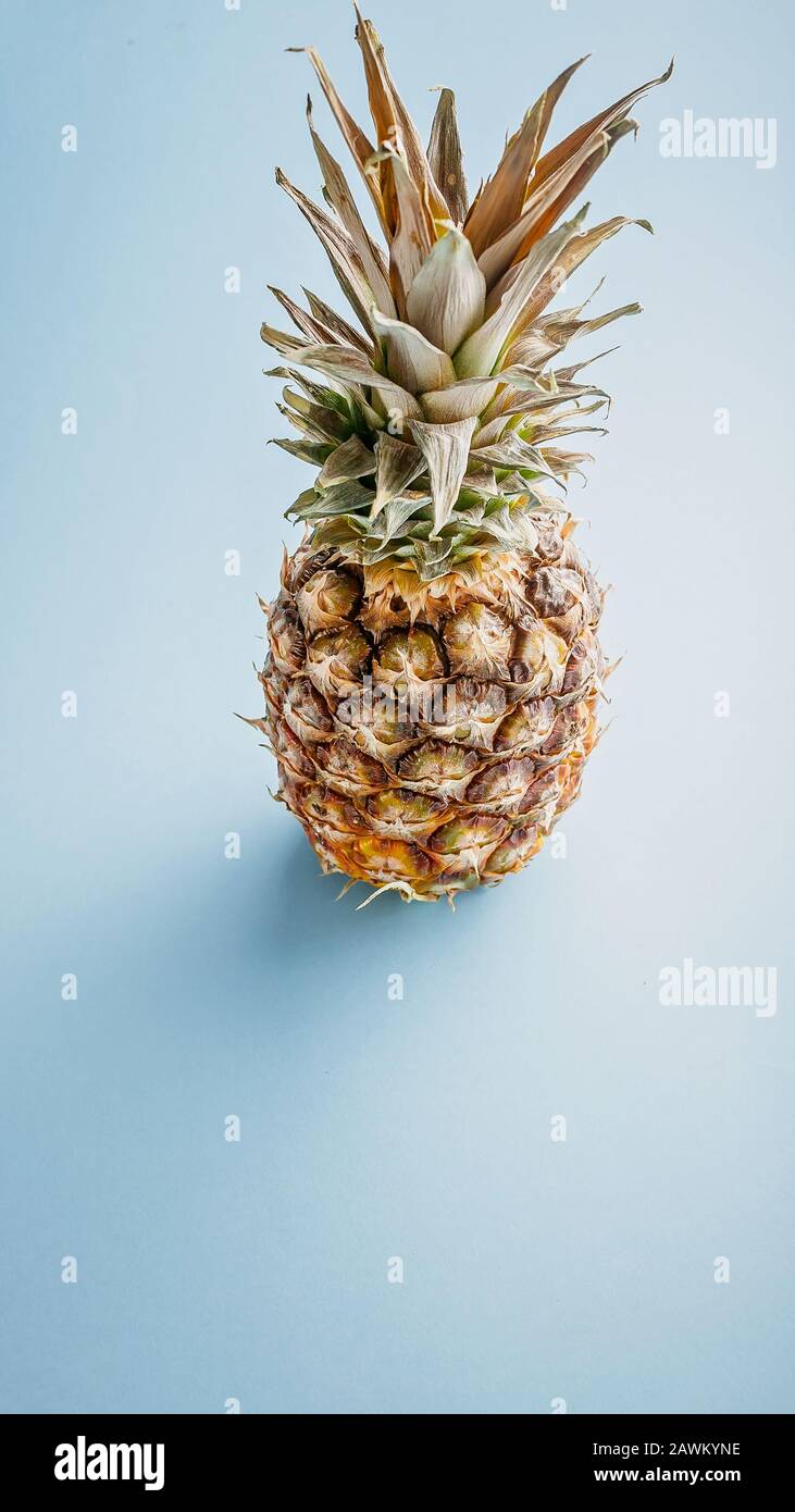 Reife Ananas auf blauem Grund. Vertikales Banner Stockfoto