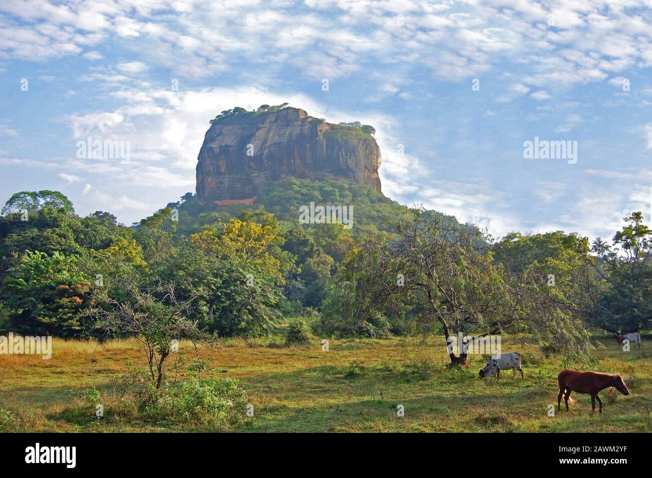 Berg in Form einer Elefantenfigur im Yala-Nationalpark (Sri Lanka) Stockfoto