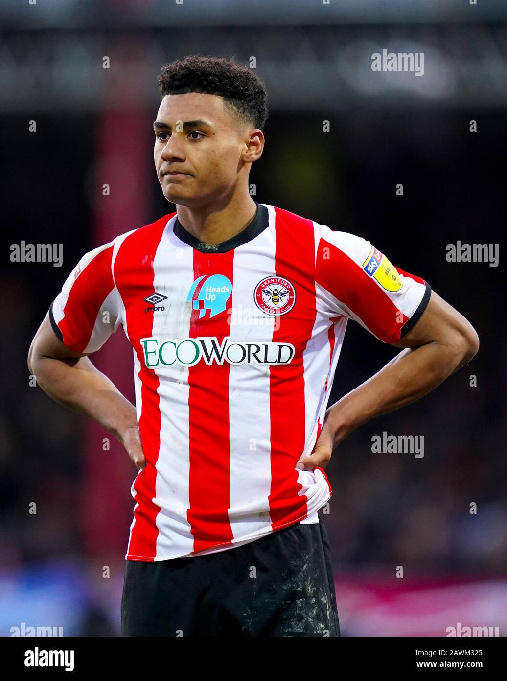 Die Brentford Ollie Watkins Stockfoto