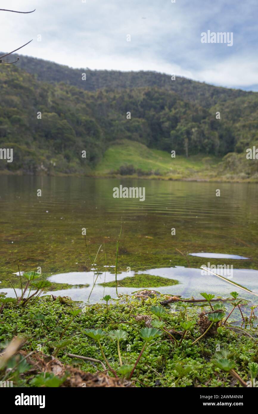 Gualaceo Ecuador Stockfoto Gualaceo Ecuador Stockfoto