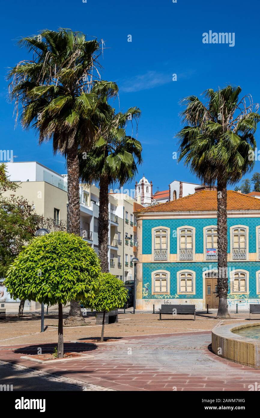 Palmen und Häuser, Silves, Algarce, Portugal Stockfoto