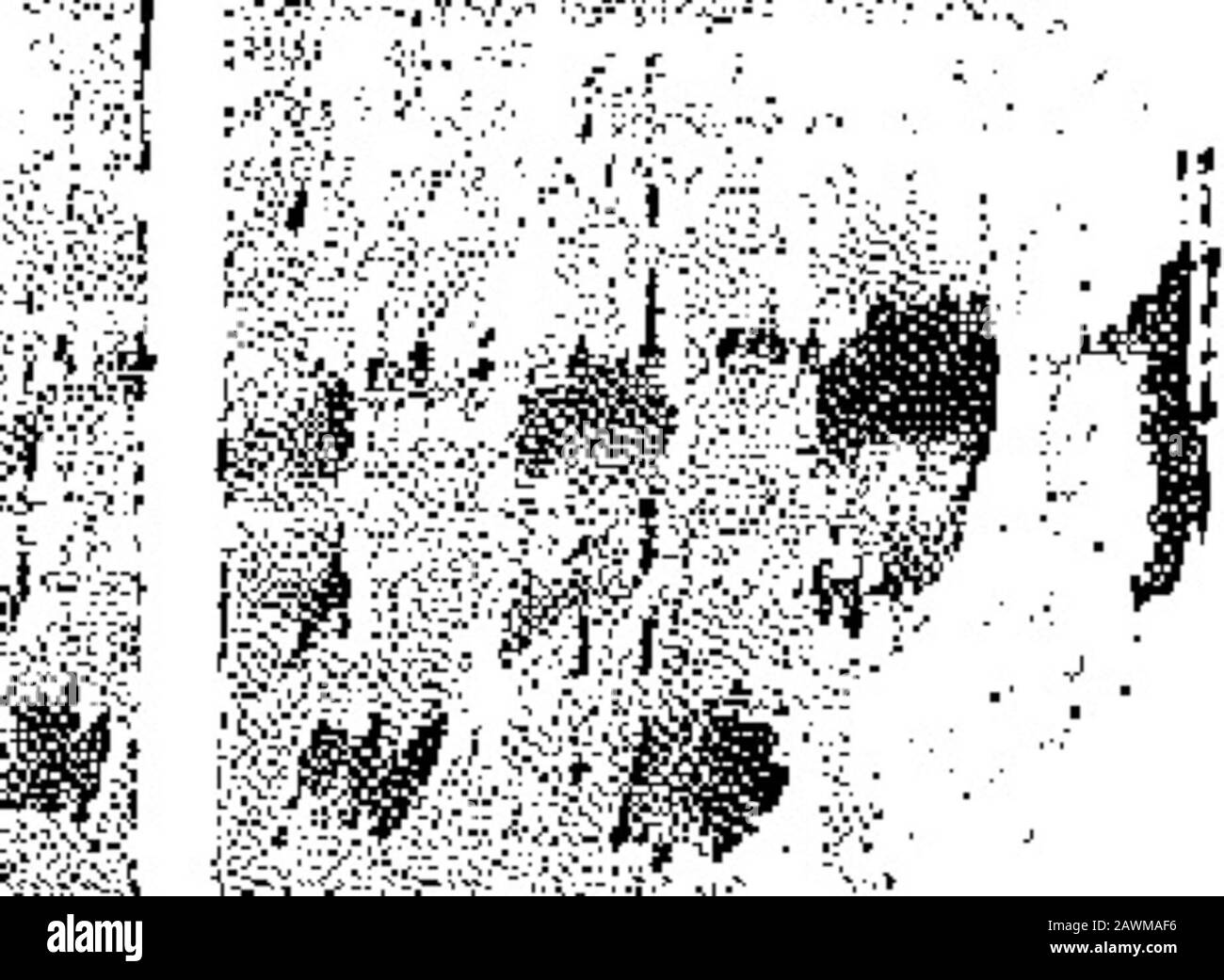 Der Kriegsschrei . ?•.IS*. 5-IX.^33T". &. SrtteK^ Ntw^sae-TEXTE; LTia-^JirfC;.A3 5ssSemffllS!(i. FTF-Mc thai fetKe^irtlj "A M"r, elc. N. P? 3 txk-Areyt "Mrt"d, tic*". • Ifasy Sian BE 10 Ciarstt, etc* E1k€ Seeretarv, IS Albei Toromt®, O® Mwm KM mm ii iisf E, { 16 TBE war cro. Fehlt. HEILSLIEDER. To fetes!* SeSstfeo* aatf Mm * toaMdf.vfekbumunM "• "t via i£*   mm, Oses*?oMtcn, tid .itanfe V* rpjwiMiJl ra,ljami"[* jll"i"e * rsi"J"4fnsjection, Jnsf. Joan YOUNG, Alios Mr. Robert Smith. Kanada, 65 Jahre, Höhe 5 rt. A In.; dunkler Teint, graues Haar, dunkel ©ja, verheiratet. Friendsre Stockfoto