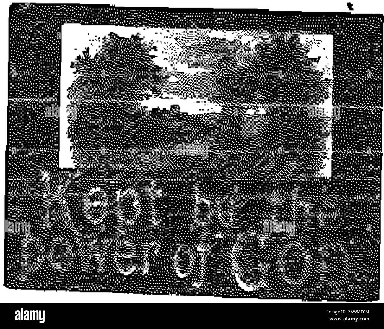 The war Cry. Butbjli*, E^®, eBeb^s. B8.K1. Größe 12 l&gt;y Oli. On Imitation Ve*"t, Olth Jo. 207. SI" 13 l,y f,U. CN Rel, HHte "d Cre^inamcleit Boards, aith l-.laid Ur.dstape DhIck an^Sll.er Letters TriXTf,; 1. -i"; il! Li]V w*" ackw-wlccclse ili," m. ..fil(lj:s IJUr y^ ^-Ui.^L,. N. Kt-i.Ll,yii;ct.,wt-r.,li;"d. O.The J."r,l nj.-a-c- His f. ke *b;nc uprin ,fct&lt;-,1rire, eat-h Lit. Stockfoto