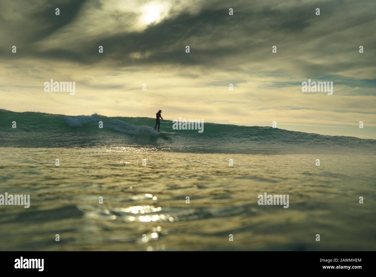 Ein junger männlicher Einzelsurfer in einem schwarzen Wetsuit reitet eine leere Welle am Piha Beach, Piha, West Auckland. Stockfoto