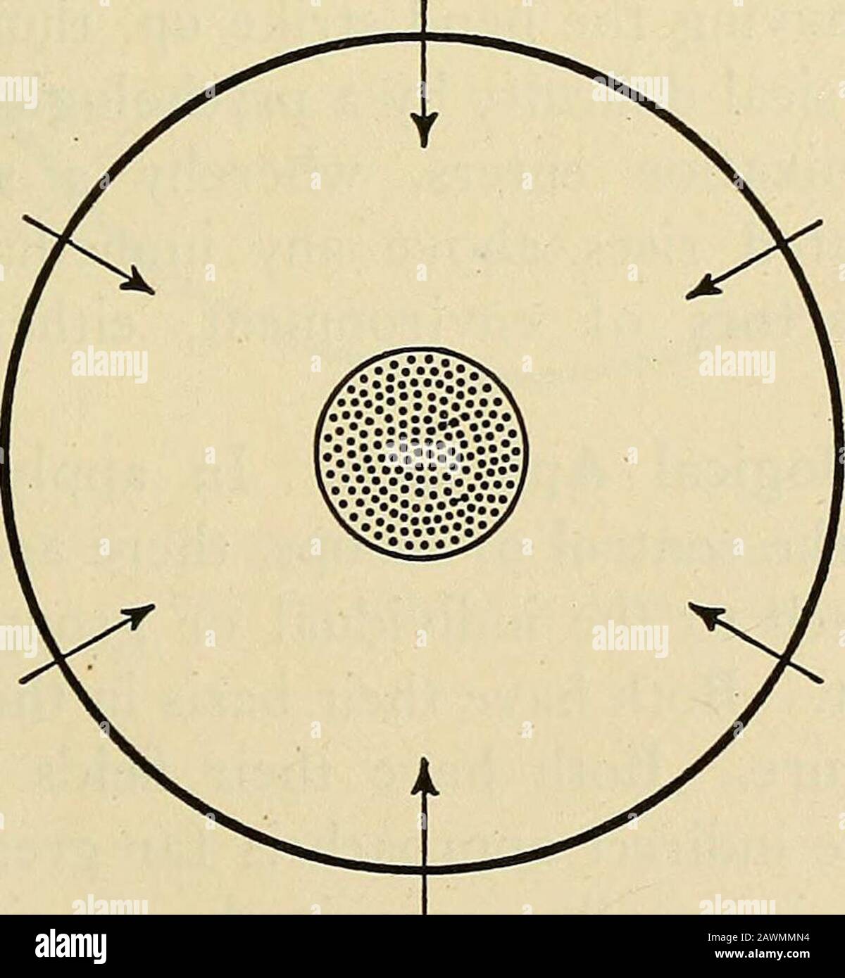 Das Management der Männer: Ein Handbuch über die systematische Entwicklung der Moral und die Kontrolle menschlichen Verhaltens . stellt ein anderes Problem im Eachfall dar, das nur durch eine kompetente Kenntnis der Gesetze zur menschlichen Natur und zur Anwendung im Licht des gesunden Menschenverstandes und des breiten Verständnisses und der Sympathie erfolgreich gelöst werden kann. Jeder Mensch wird, wie anderswo diskutiert, mit bestimmten erblichen Tendenzen geboren. Ansonsten sind die Seiten von Zisbrain leer, es sei denn, sie werden von Experienceund dem gesprochenen oder geschriebenen Wort beschrieben. Je höher der Maßstab für Entwicklung, Zivilisation und li Stockfoto