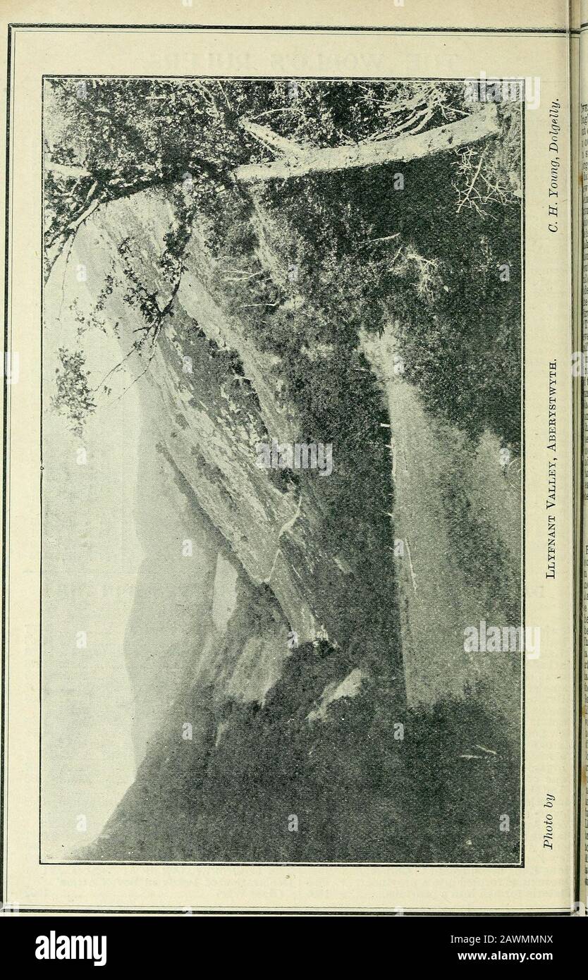 Musselburgh Verzeichnis und Jahresbuch .. . S abgeschafft... Im Jahre 1834 wurde Südaustralien zu einem Reviuce 1834 gemacht Neuseeland machte eine eigene Kolonie... Hongkong aus dem chinesischen Staat, aus dem Jahr 1849, Queensland, wurde zu einer Provinz 1850 gebildet Victoria, die zu einer Provinz 1850 Wurde Das Dobiinion OE Kanada, das Jahr 1867 Abessinischer Krieg, die Beförderung von Strafgefangenen abgeschafft... Im Jahre 1878 besetzte Zypern die britische Besetzung Ägyptens 1882 Zululand wurde britischer Besitz... "British South Africa Co. Chartered", "Mr. Chamberlain", wurde "Colonial Secretary", "Second Ashantee Campaign", "Diamond Jubilee of Queen Vic", "das zweite As Stockfoto