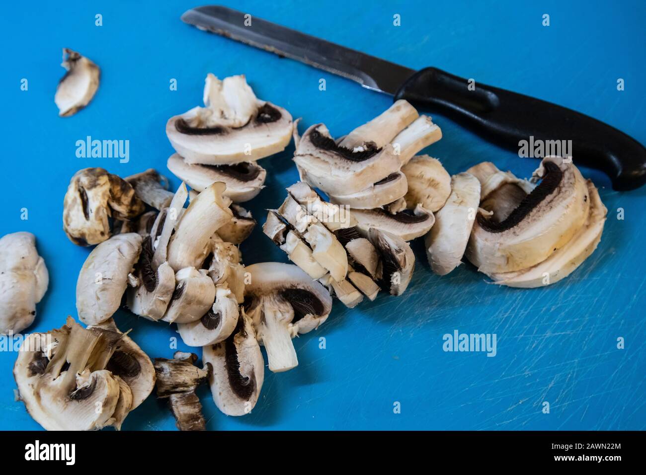 Gehackte gemeine Pilze Agaricus bisporus und ein Küchenmesser auf einem Schneidebrett, bevor sie zur Zubereitung von Speisen verwendet werden. Stockfoto