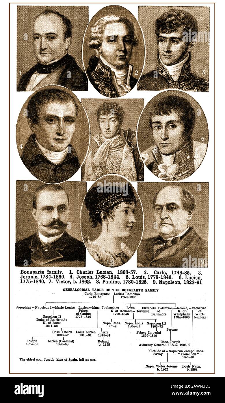 1921 gedrucktes Bild mit Porträts und dem Stammbaum der Familie Bonaparte (und Geburts- und Sterbedaten). Stockfoto