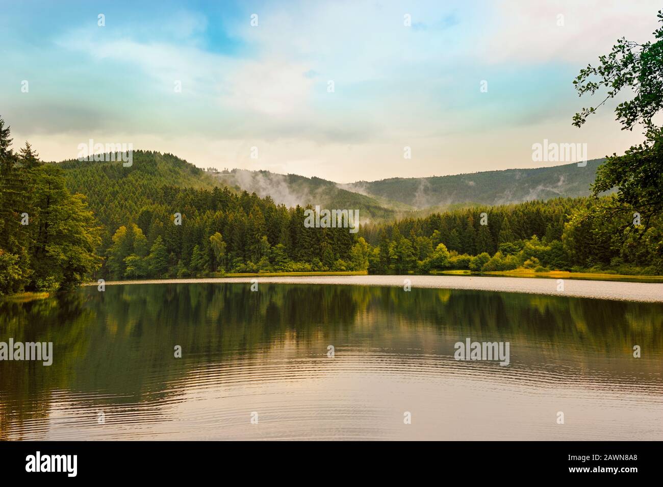 See umgeben von Bergen, Harz, Deutschland. Stockfoto