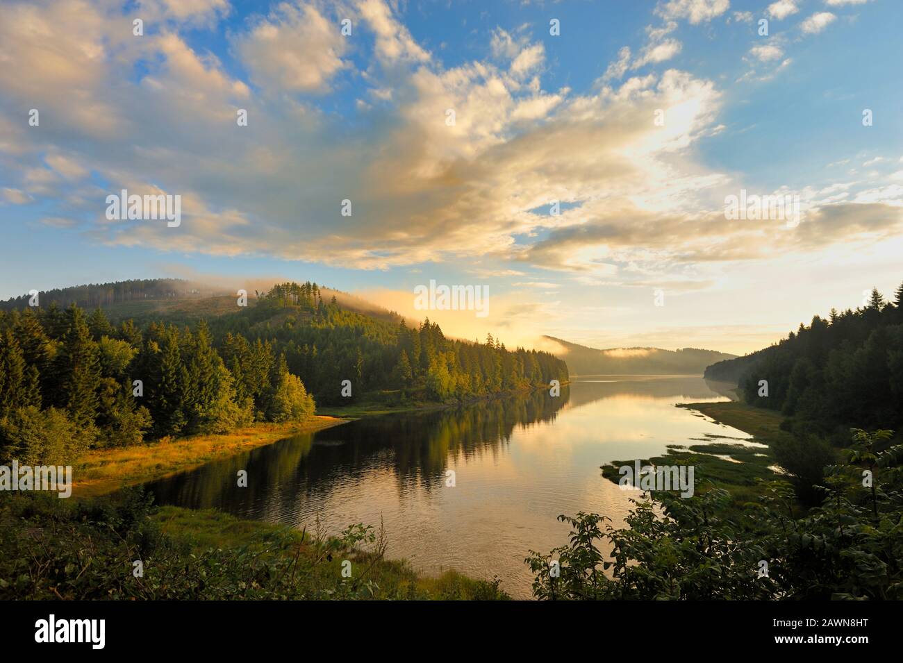 See umgeben von Bergen, Harz, Deutschland. Stockfoto