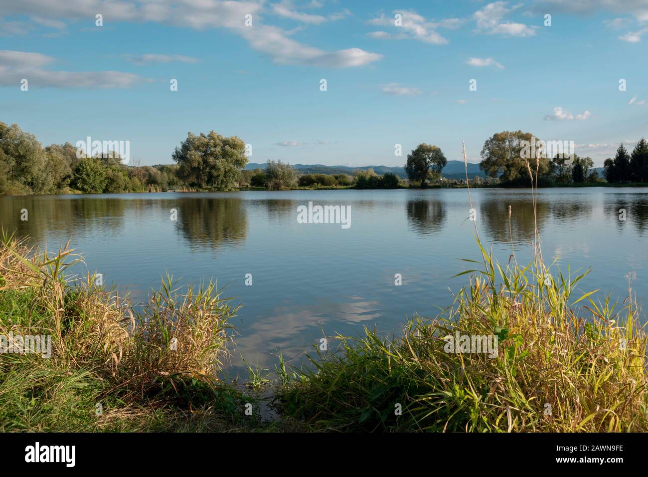 Schöner Fischteich in Badin, in der Nähe von Banska Bystrica, Slowakei. Bäume spiegeln Spiegelreflexion im Wasser. Angelplatz. Strahlende Sonne über dem Fischteich Stockfoto