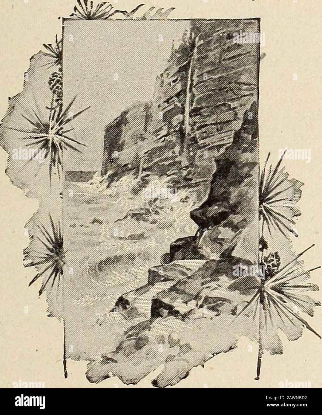Das Leben und die Schriften von Rufus CBurleson, DD., LLD., die eine Biographie von DrBurleson von HonHarry Hayens enthalten; . so lange, wissen Sie nichts. Rufus erinnerte seinen Vater daran, dass er, als die Thekongregation lachte, unter diesen abscheulichen Kritikpunkten an der Denomination, zu der er gehörte, seinen Kopf unbeschämend hing, nicht dass die Unterstellungen entweder wahr oder einfach waren, darauf hinwies, dass es sogar eine Entschuldigung dafür gab, sie zu machen. Meine Seele, sagte Rufus, brannte, wie junge Davids es taten, als Goliathdered Israel und Israels Gott, und ich möchte so präparemyself als Prediger, um es unmöglich zu machen, solche Reflexionen auf Gott zu werfen Stockfoto