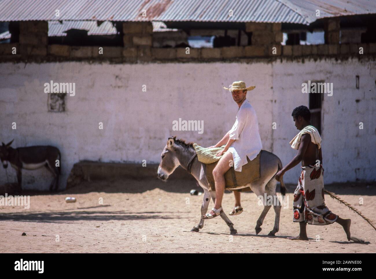 Die Altstadt von Lamu, Küste des Indischen Ozeans von Kenia. Auf der Insel sind keine Kraftfahrzeuge erlaubt. Haupttransporte für Menschen und Handel sind Esel. Lamu befand sich vor Jahrhunderten auf einem großen Handelsweg von Arabien nach Sansibar an der Küste Ostafrikas. Stockfoto