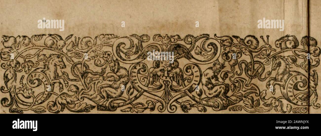 Amerika, das ist, die Ausbildung vnd Offenbahrung der neuen Welt: Deroselbigen Völcker, Gestalt, Sitten, Gebräuch, Policey vnd Gottesdienst . /. Stockfoto