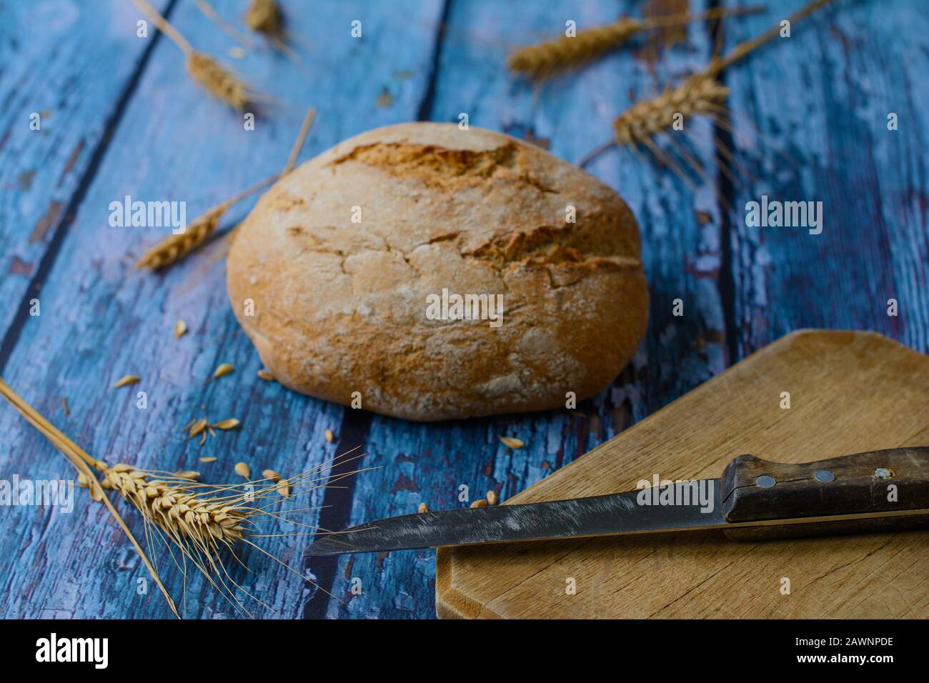 Ein altes Messer befindet sich auf der Holzschneidplatte. Traditionelles Vojvodinisches Rundbrot namens Cipovka. Weizenähren, Körner. Selektives Fokussieren auf das Messer. Stockfoto