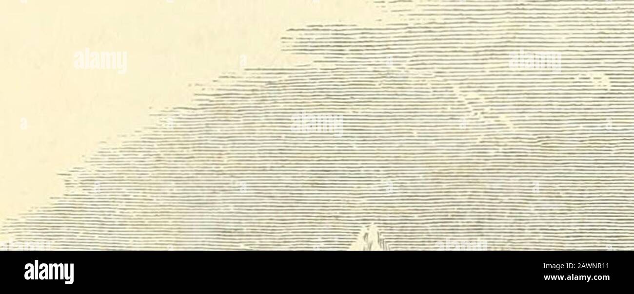 Die polaren und tropischen Welten Beschreibung von Mensch und Natur in