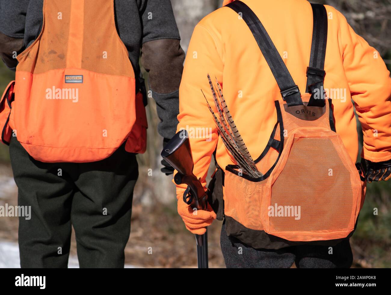 Mapleville Rhode Island, 20. Dezember 2019: Zwei Jäger, Die Mit Schrotflinten und Tagelfedern Aus Ihrer Tasche Spazieren gehen. Stockfoto