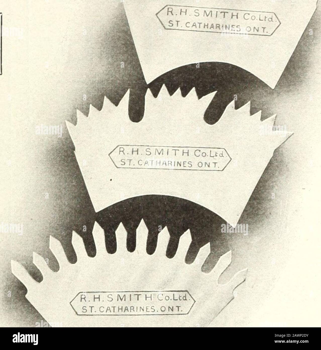 Kanadische Holzindustrie . , Nr. 1 C und B.50.000 ft. 12/4 S. Maple, Nr. 1 C und B. Shell Box Trade 300 m. 1 x 9 und hoch Birch, Nr. 1 und Nr. 2C 200 m 1 x 9 und hoch Birch, Nr. 2 und Nr. 3C 200 m 1 x 6 bis 8 Birke, Nr. 2 und Nr. 3C600.000 ft. 6/4x8/4 Birke. Nr. 2 und Nr. 3 C. Wir Freuen Uns Auf Ihre Mitteilung: Unser Holz ist zuverlässig, unsere Noten einheitlich, unsere Lieferungen prompt und erhalten persönliche Supervision unsere Preise konsistent. Wir haben lange Erfahrung. Wir wollen dienen. Oktober, i91fi KANADISCHER HOLZARBEITER 23 R. H. Smith Co. ST. CATHARINE, ONT. Die Qualität Des Begrenzten Pfeilkopfs Sägt Die Bes Stockfoto