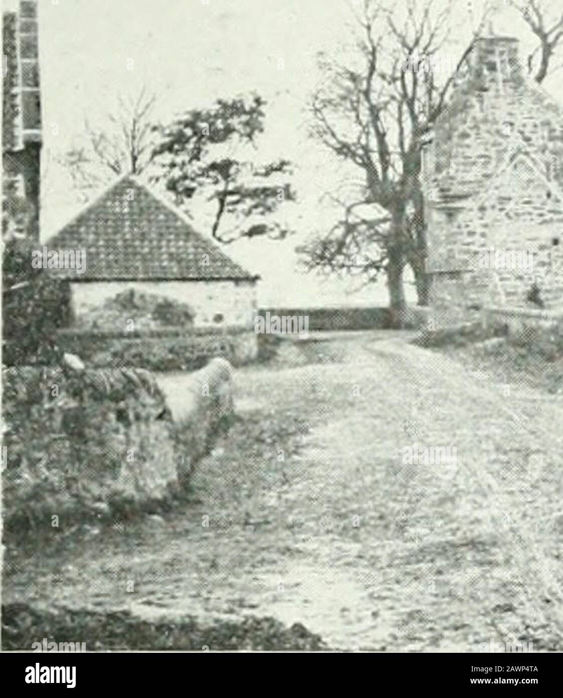 Clackmannan und Kinross. Thisgatehouse sind von großen horizontalen Verspröden durchbohrt; und der Raum im ersten Stock, der auf dem Vaultedgeschossdach ruht, ist innen quadratisch. Der zweite Floorisplatz ist auch extern, da er kühn korbartig ist.Die Giebeln sind fertig gewitli flache Schräge-ein sehr unusualfeature-anstelle der üblichen Corbie-Stufen, und bothof die Skew-Puts tragen ein Gerät. Auf der einen Straße mit Blick auf die Straße befindet sich die rote Rose des Balfours; auf der anderen Seite das Datum des Turms, 1582, über einem Schild mit theBalfour Armen und den Initialen M. B. und I. B. Thesestand für Margaret Balfo Stockfoto