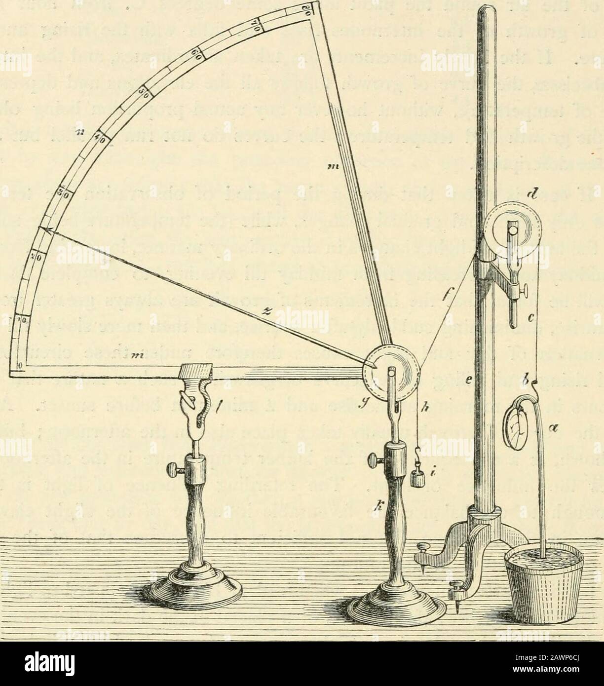 Textbuch der Botanik, der Morphologie und der Physiologie. ^sich entsprechen der Dunkelheit auf der einen Hand und dem Tageslicht auf der anderen Seite gehen nur langsam ineinander über. Light ^ Sachs, Arbeit, des bot. Inst. Wiirzburg, 1872, S. 168 ff. Die Pflanzen beobachteten vor allem Fritillaria imperialis, Humulus Lupulus, Dahlia variabilis, Polemonium reptatis und Richardiacthiopica. 746. Mechanische WACHSTUMSGESETZE. Erfordert eine beträchtliche Zeit, um die nächtliche Dunkelheit zu überwinden, eine ansehnliche Zeit, um den tagtäglichen Zustand der Pflanze zu überwinden. Wenn dies nicht der Fall wäre, die Kurve von g Stockfoto