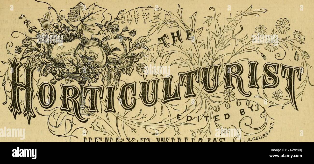 Der Hortikulturist und Journal of Rural Art and Rural Taste . Y, von John G. Slotesand Co. Preis Essay on Cooked Food for Domestic Animals.-EIN sehr praktisches kleines Pamphlet, gut gewrit-ten und vollständig erklärend für eines der nützlichsten und wirtschaftlichsten aller landwirtschaftlichen Praktiken. Die Arbeiten des Dritten jährlichen Konvents des American Institute of Architects - Enthalten eine bewundernswerte Ansprache von E. L. Godkin und einen sehr treuen Bericht über die Diskussionen des ^He Institute. Nortvay Oats, Wir sind Herrn Ramsdell für einige seiner norwegischen Hafer schuldig. Unsere Erfahrung mit ihnen, im Jahre, war sehr zufriedenstellend, und wir sind es auch Stockfoto